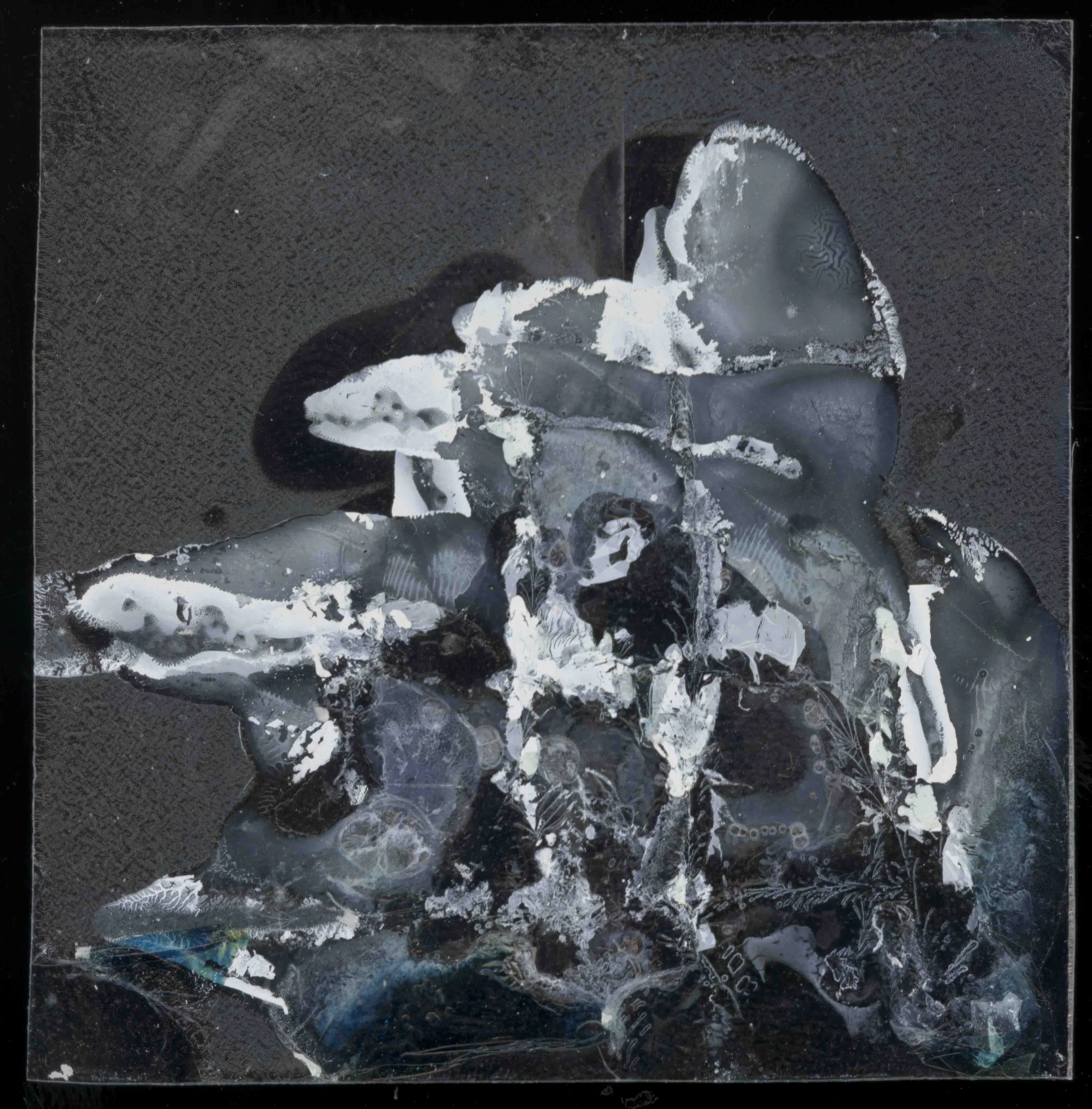 An abstract black and white artwork featuring irregular shapes and textures, with some areas resembling organic forms and others appearing more geometric.