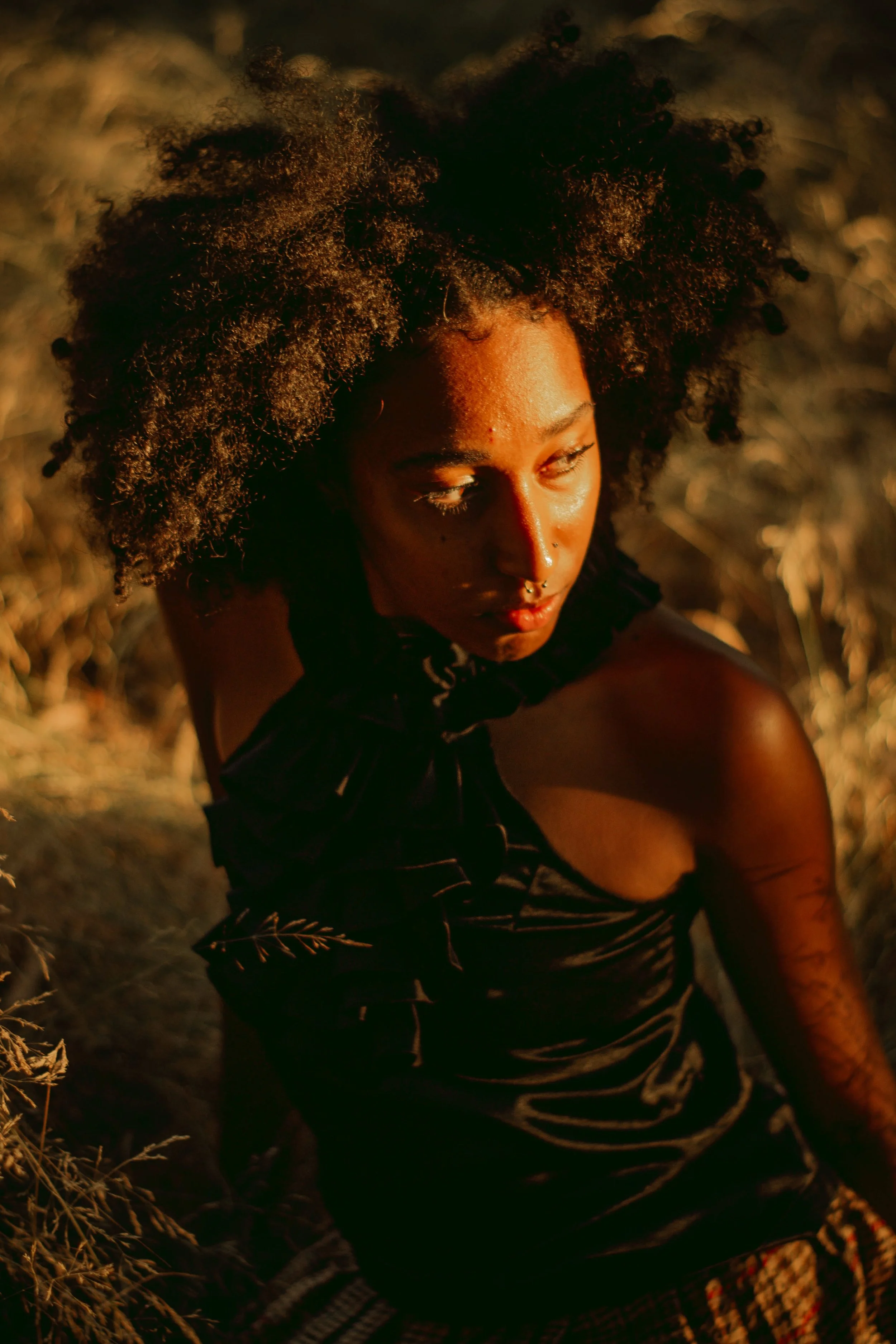 A woman with natural curly hair and multiple facial piercings, wearing a black top with a leafy pattern, is sitting outdoors in a setting illuminated by warm sunlight, with dried grass around her.