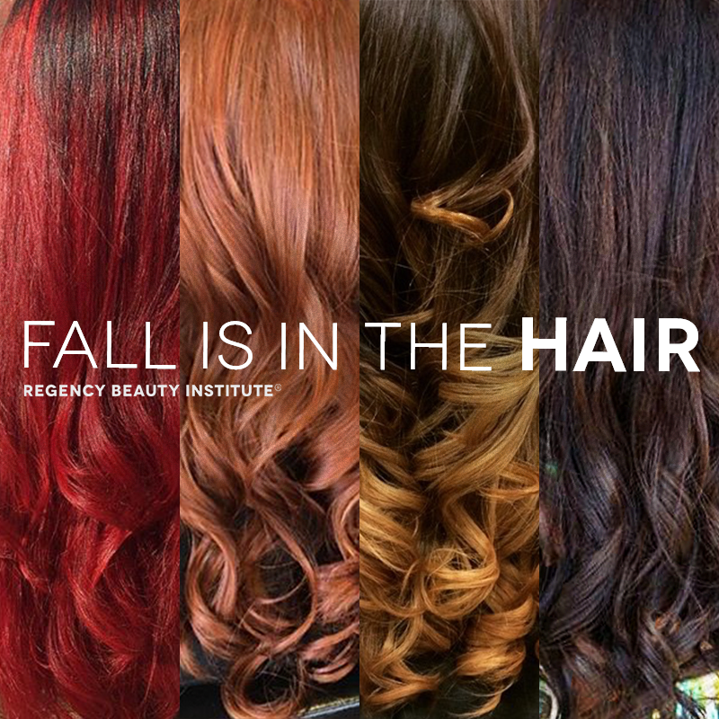 Fall-800x800.png