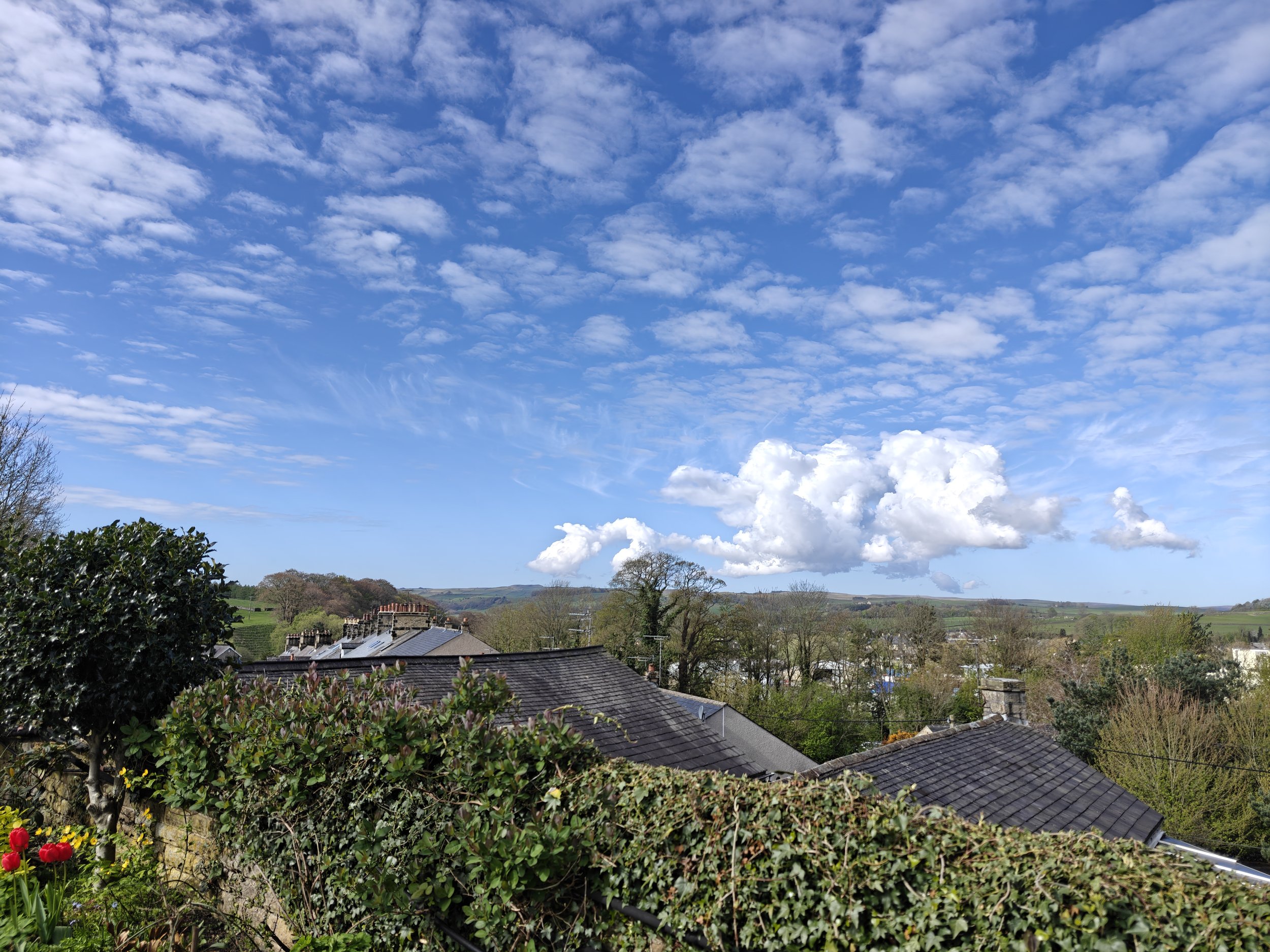 IMG20260420100526.jpg