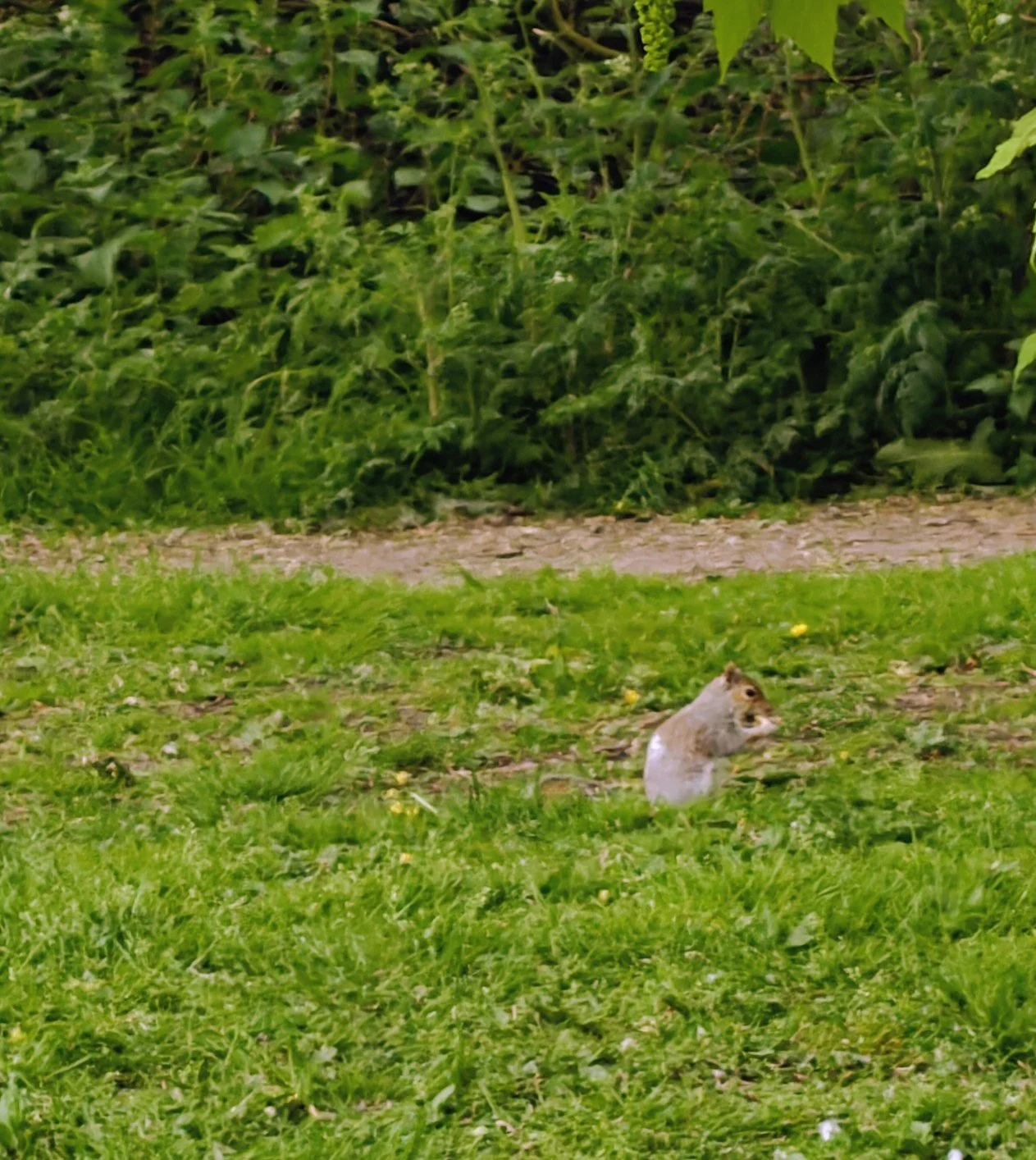 IMG20260502185518~2.jpg