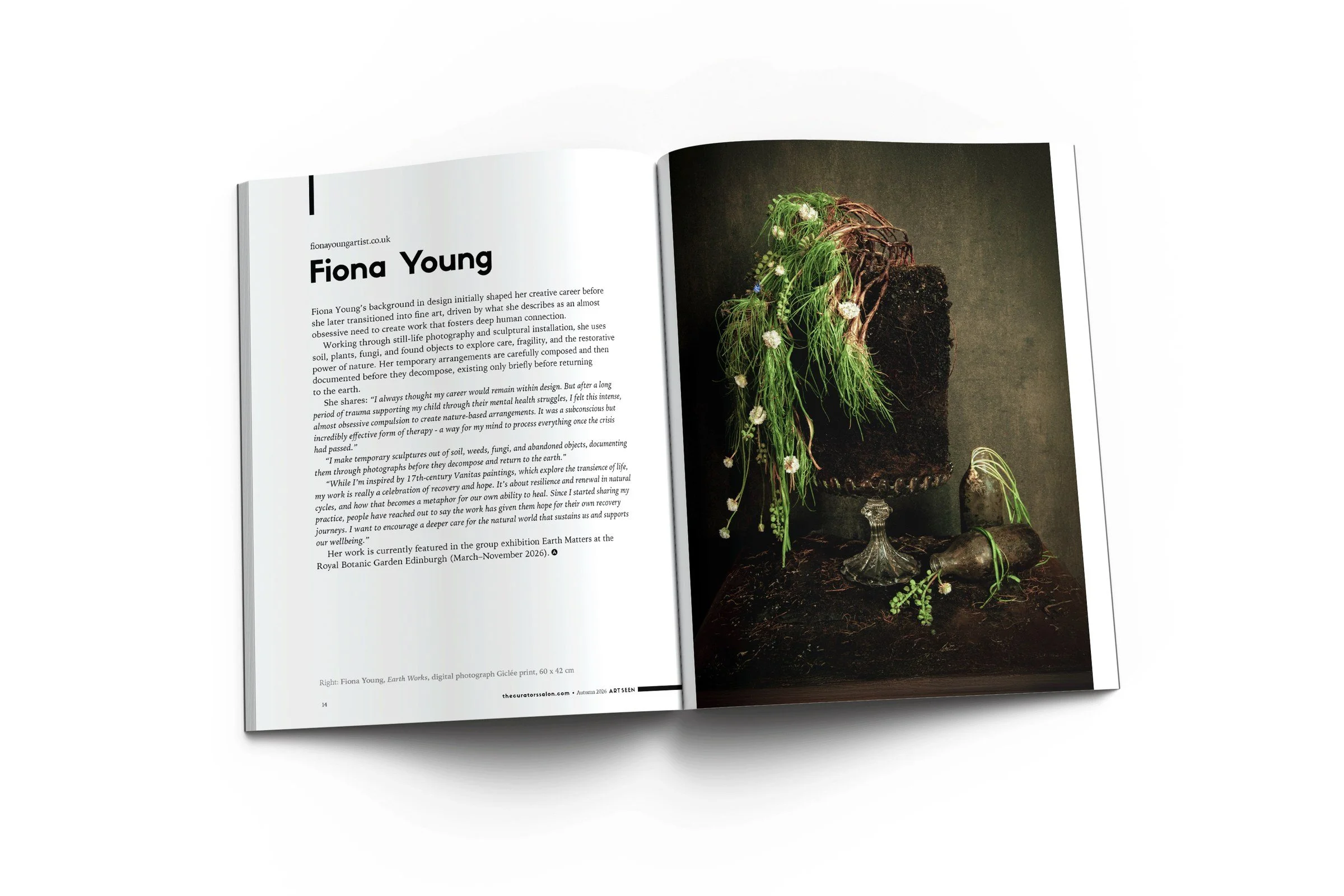 art-seen-issue-21-fiona-young-art-quarterly.jpg