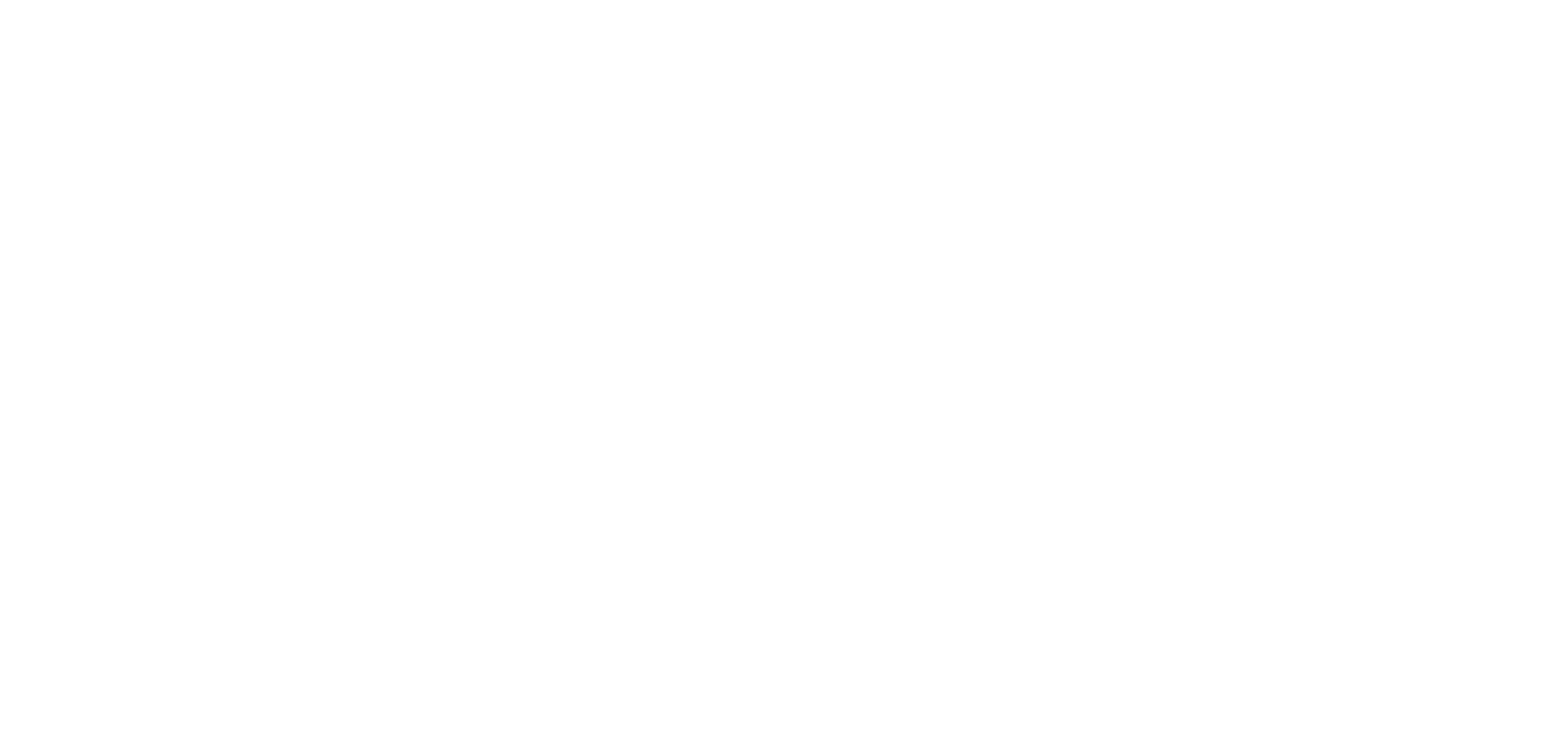 Logo of Reign Ink Airbrush Tattoos featuring a crown and stylized text.