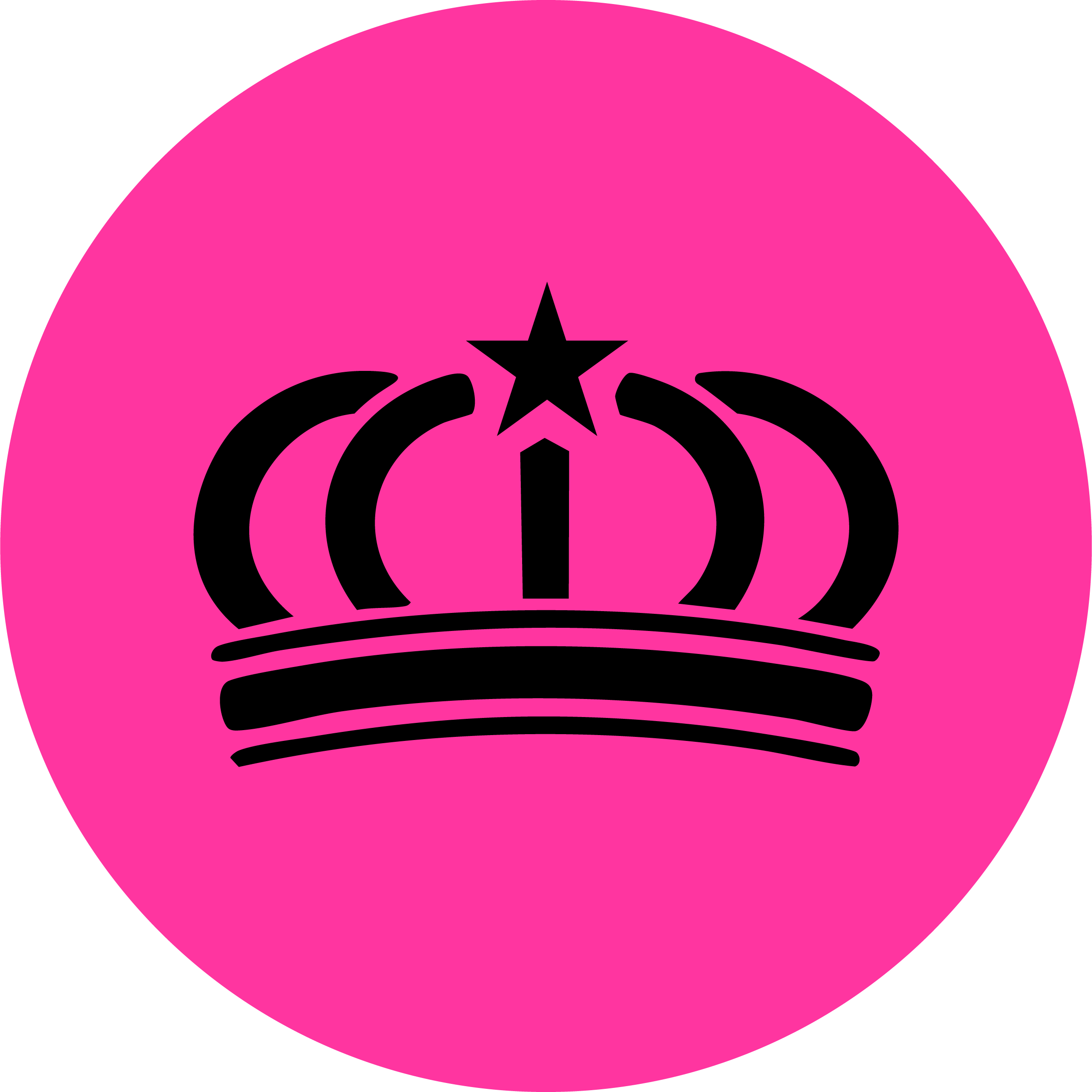 Pink circle with black target symbol and a star in the center.