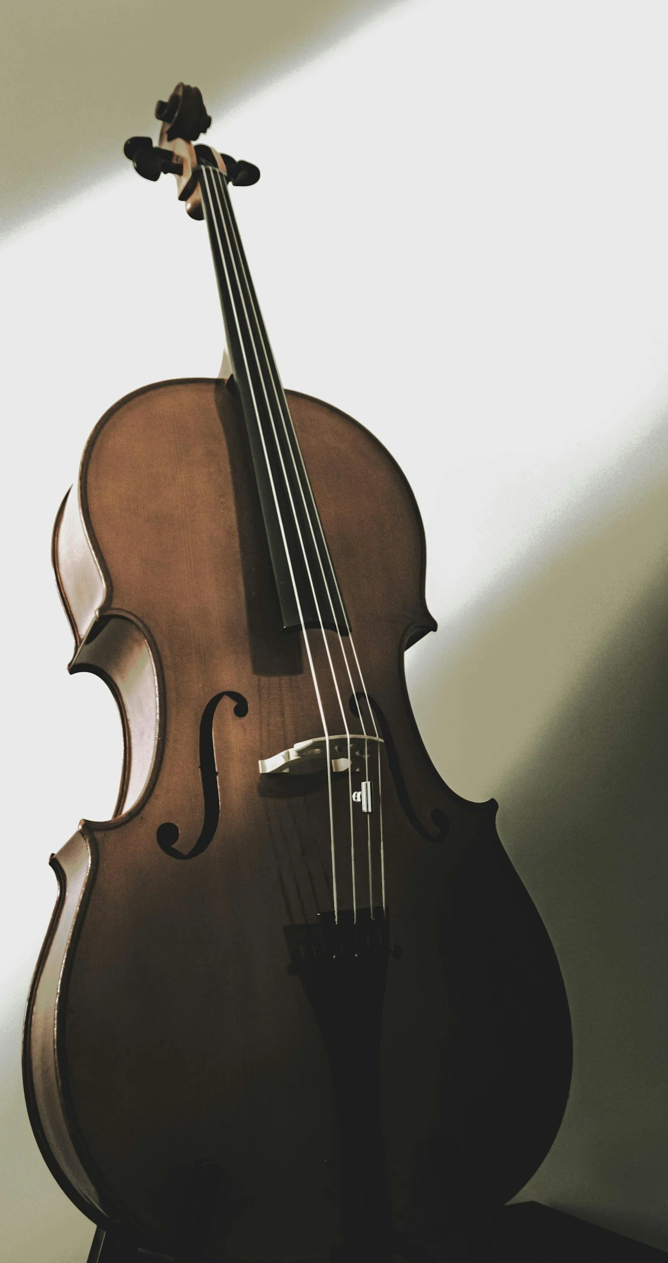 A wooden violin hanging on a wall with light casting a shadow.