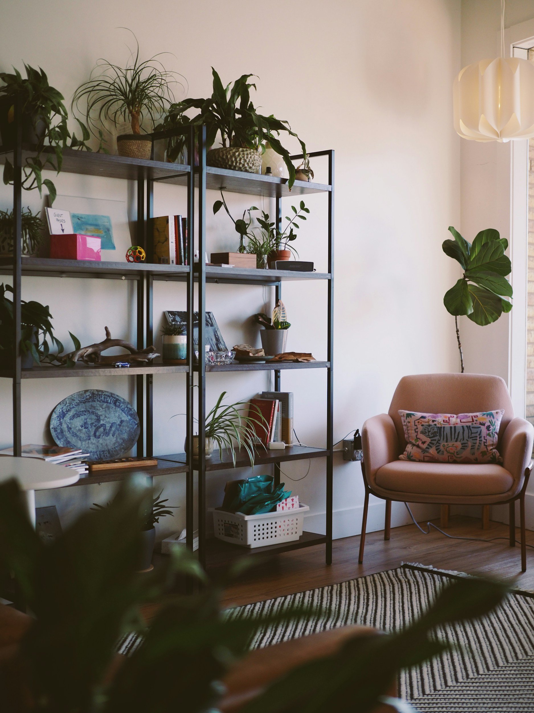 A cozy living room corner with a pink armchair and patterned pillow, a black metal shelving unit with plants, books, and decorative items, a large potted plant, and a black-and-white striped rug on wooden floor. Natural light coming from a side window.