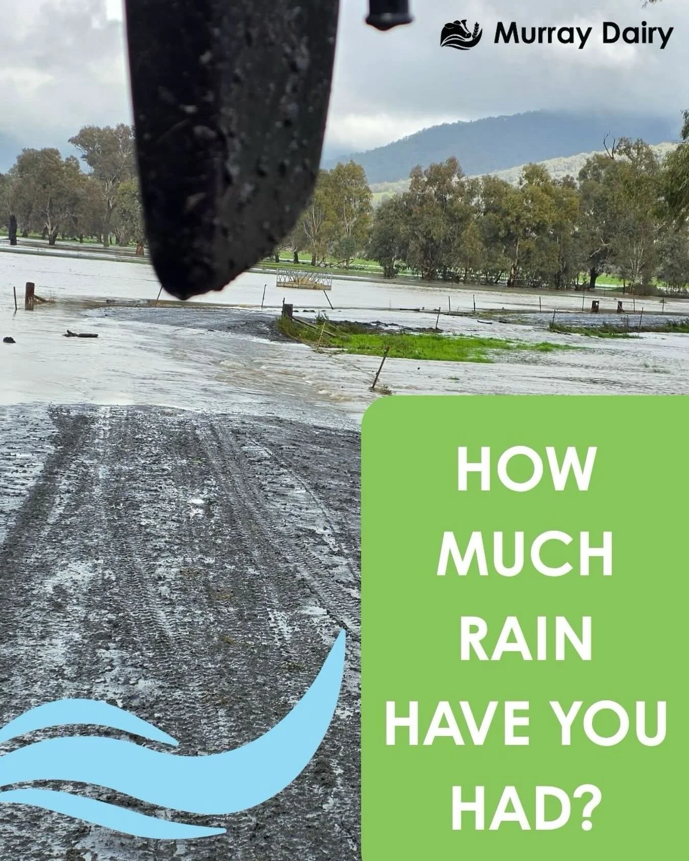 ☔️ ITS A BIT DAMP ☔️ 

The Murray region is currently wet under foot! While it lends itself to a promising Spring, it can make for a few extra frustrations during the busy calving period. 

Take care everyone and let us know in the comments where you