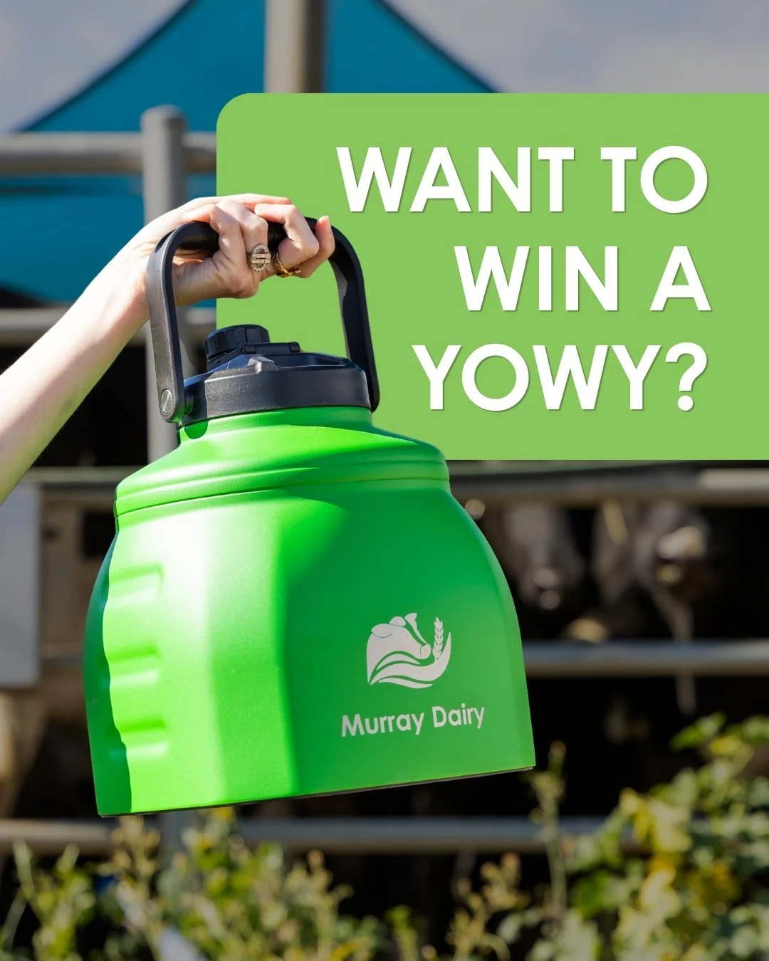 Want to stay across what&rsquo;s happening in dairy across the Murray region &mdash; and go in the running to win a YOWY drink bottle?

Subscribe to the Murray Dairy newsletter to receive the latest regional updates, upcoming events, project news, re