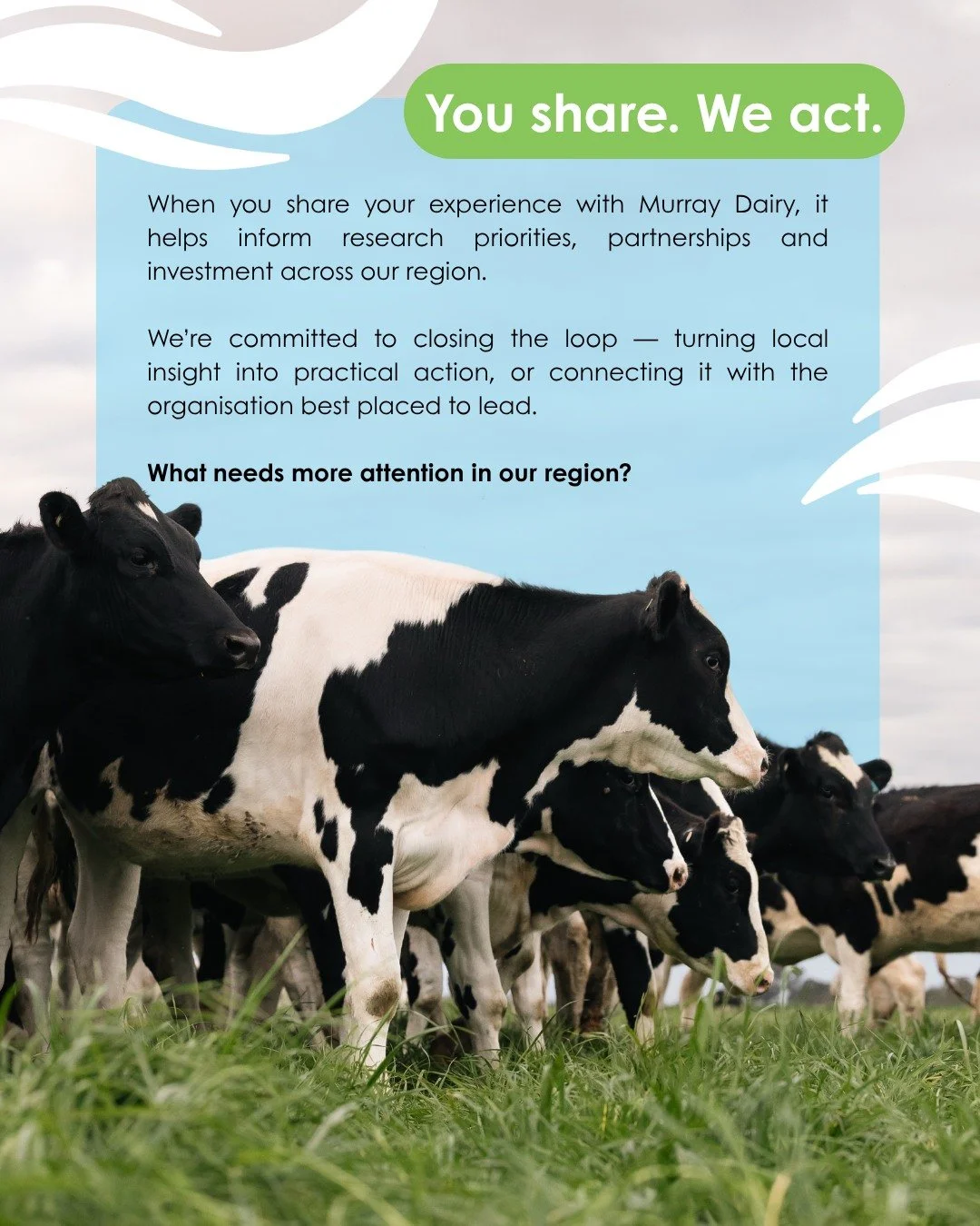 At Murray Dairy, local insight helps shape regional research priorities, partnerships and investment decisions. 

Just as importantly, we&rsquo;re committed to closing the loop and explaining what happens next.

If you share your experience with us, 
