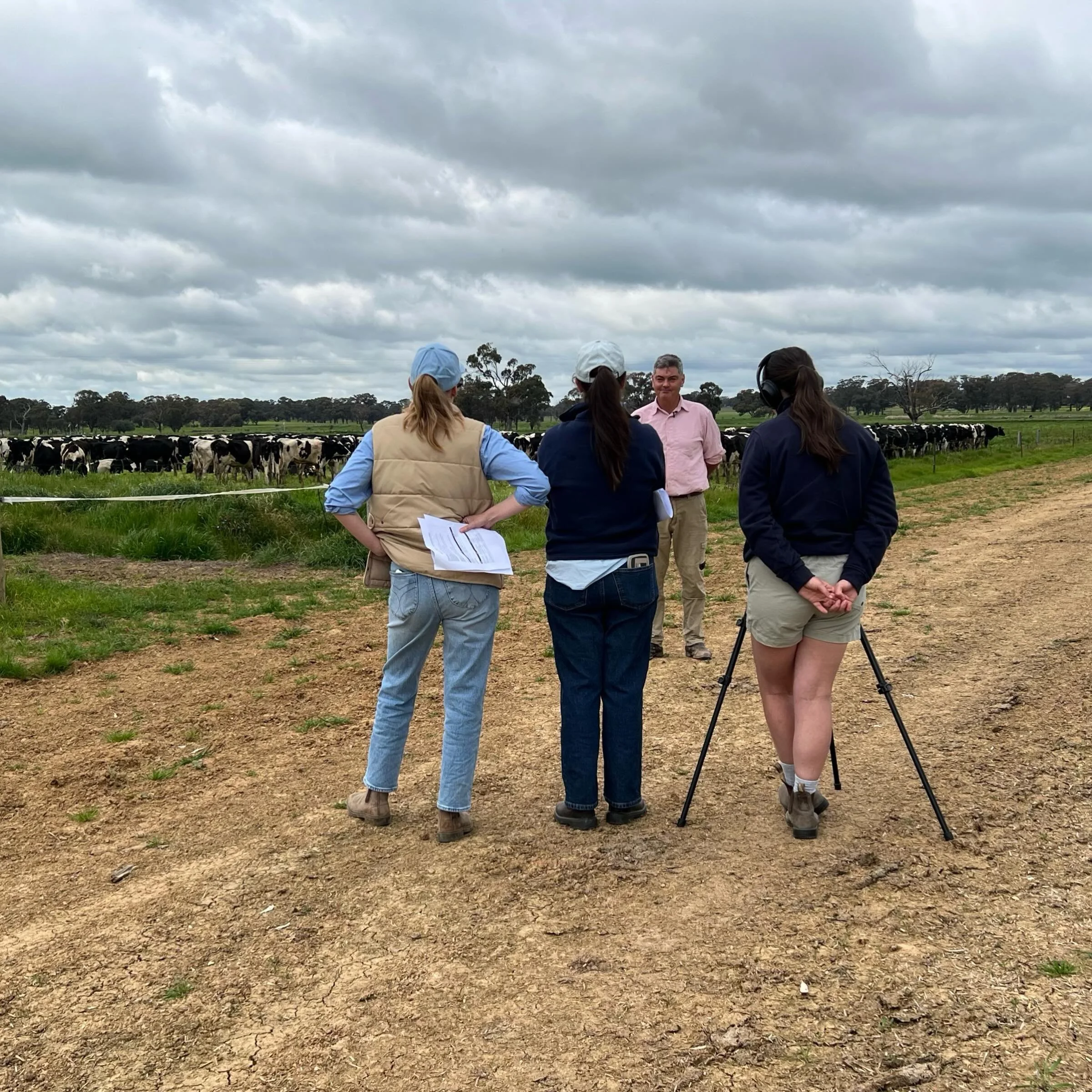 Watch this space, we have been busy behind the scenes to bring you the information that matters most to you, the people connected to dairy in our region 🫶🏻