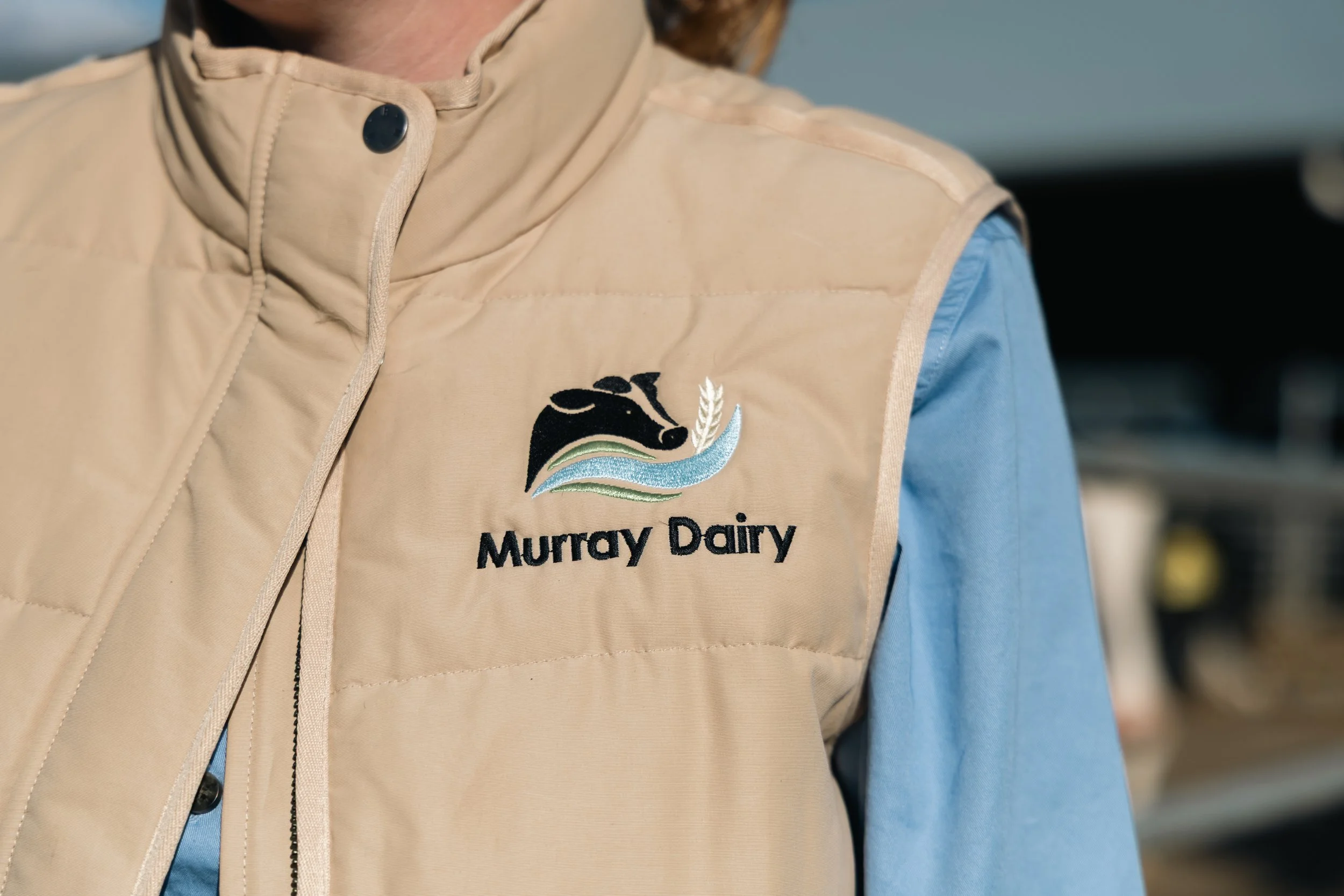 Close-up of a person wearing a beige vest with a logo of Murray Dairy. The vest is over a light blue shirt with a black button at the collar.