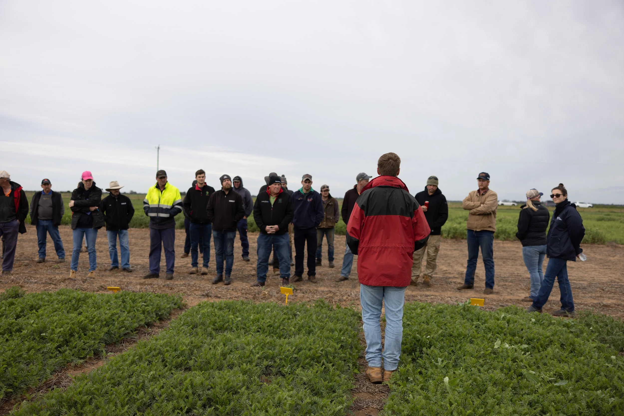 A group of people standing outdoors in a field, listening to a person in a red jacket speaking to them, with cloudy skies overhead.