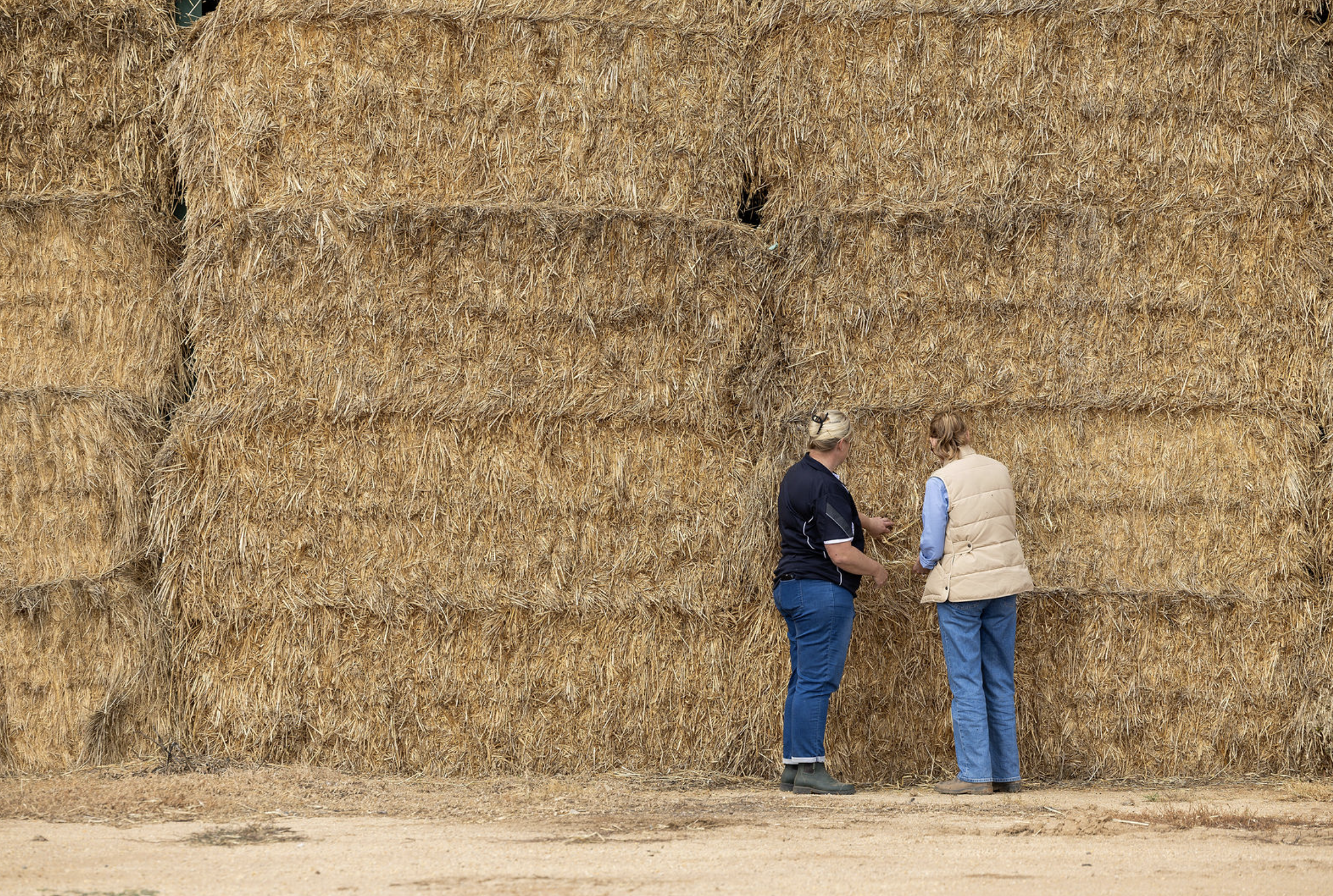 Two women standing and talking in front of large stacks of hay bales outdoors.