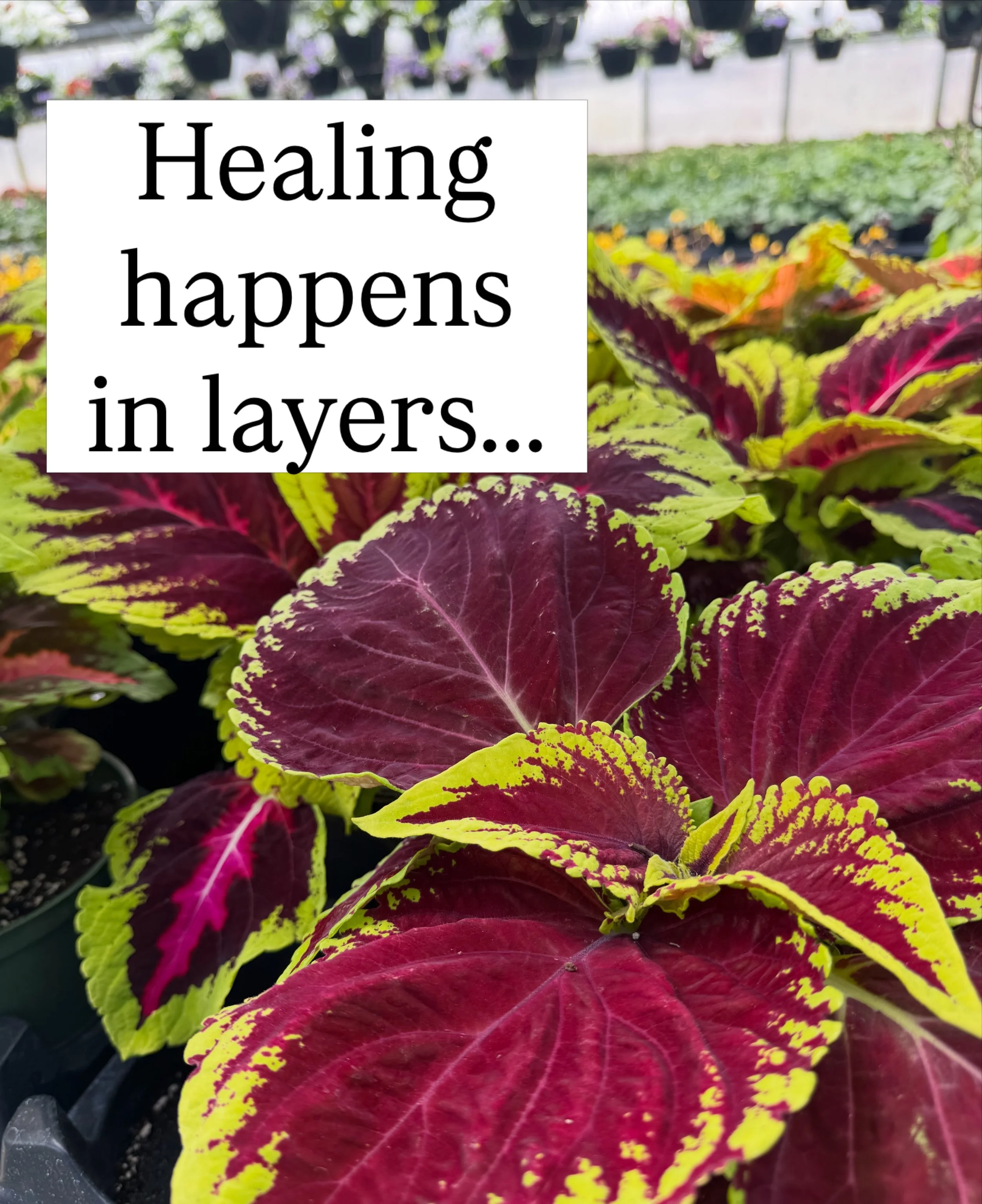 🌿 Healing isn&rsquo;t always about becoming someone new. Sometimes it&rsquo;s about reconnecting with the vibrant parts of yourself that have been there all along. Healing happens in layers &mdash; slowly, gently, and in ways we may not notice at fi