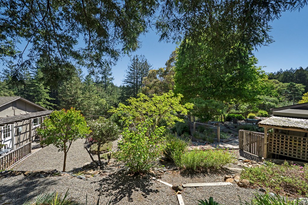 A backyard garden with various trees, shrubs, and plants, surrounded by wooden fences and neighboring buildings, under a clear blue sky.