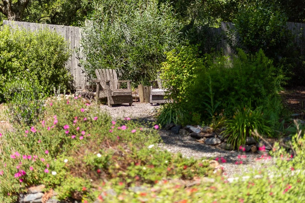 A garden with lush green plants and bushes, two wooden chairs, a gravel pathway, and a wooden fence in the background.
