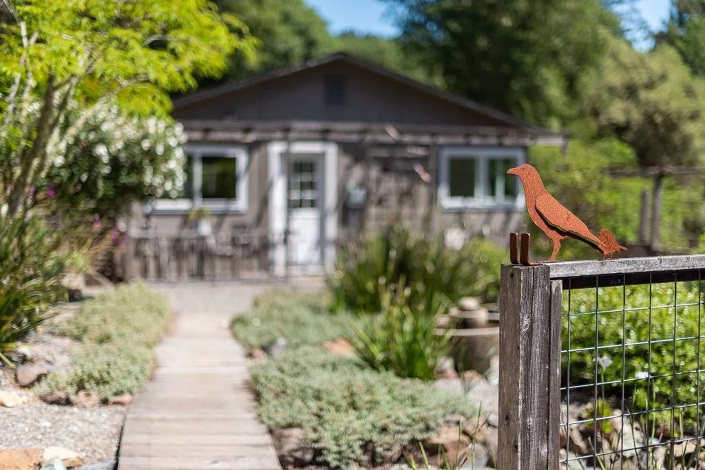 Wooden garden gate with a metal wire fence and metal bird sculpture, leading to a small house with a wooden exterior, surrounded by greenery and plants.