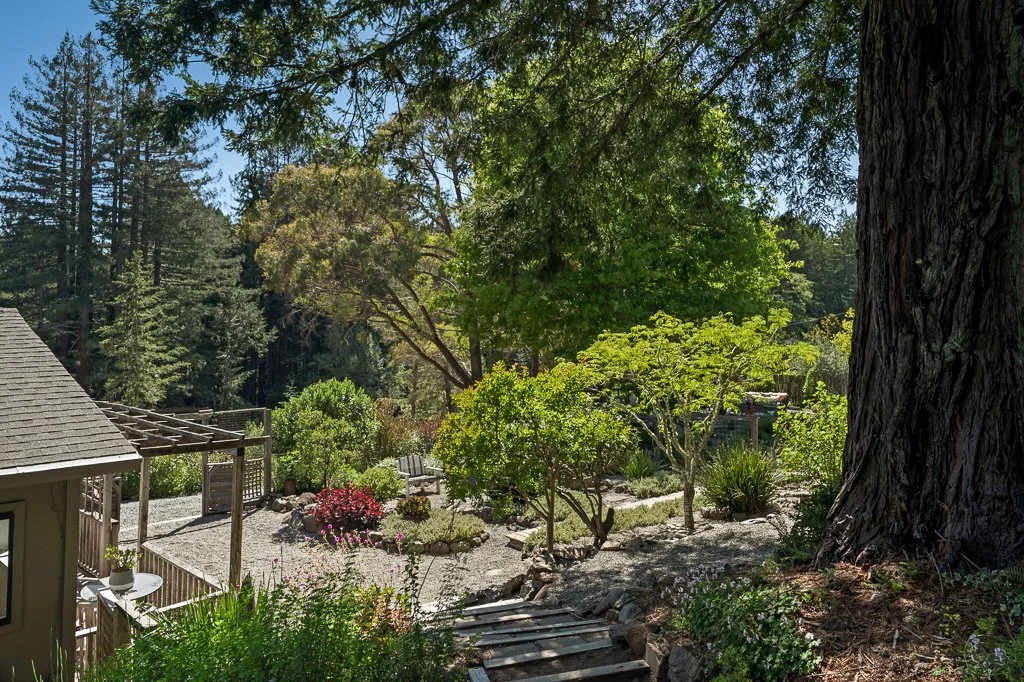 A lush backyard garden with trees, shrubs, and flower beds, featuring a gravel pathway and wooden stairs leading down to the garden area.