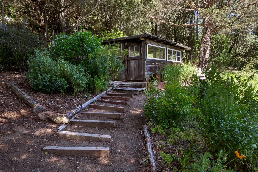 A small rustic wooden shed on a hillside, accessible via a short wooden staircase, surrounded by green bushes and trees, with a bench to the right and dappled sunlight filtering through the trees.