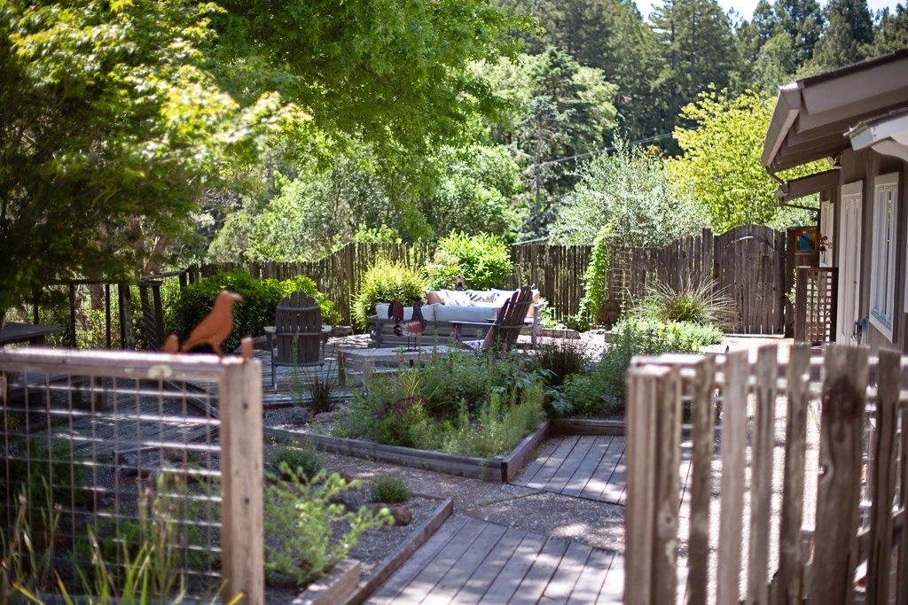 A backyard garden with wooden pathways, outdoor seating, lush green trees and shrubs, and a fenced perimeter, viewed from a porch.