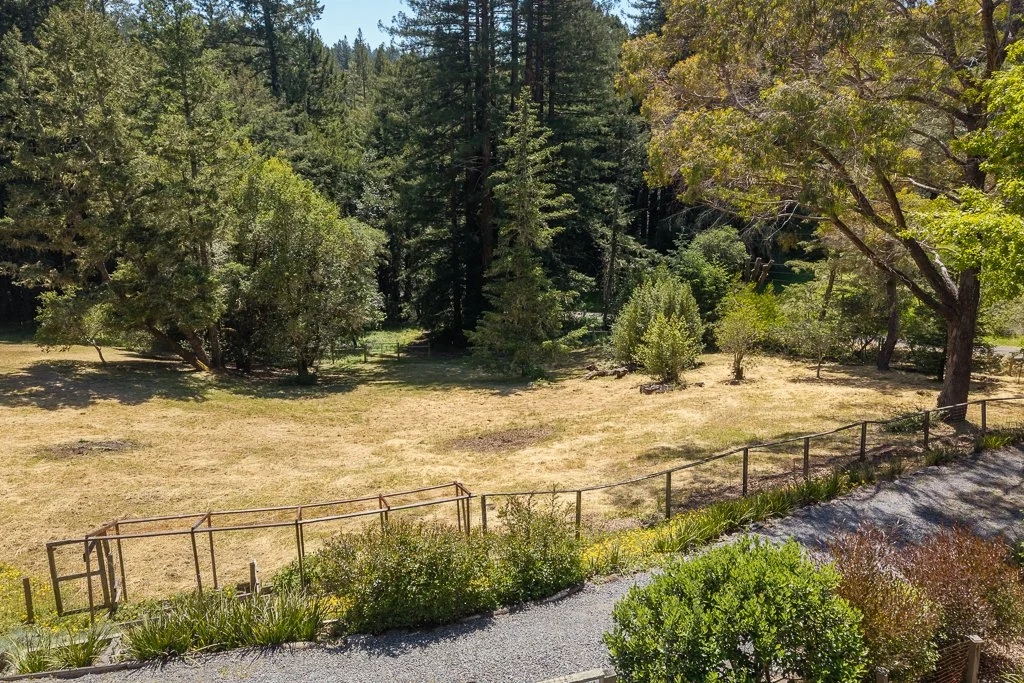 A fenced grassy field surrounded by trees of various sizes and shapes, with a gravel pathway in the foreground.