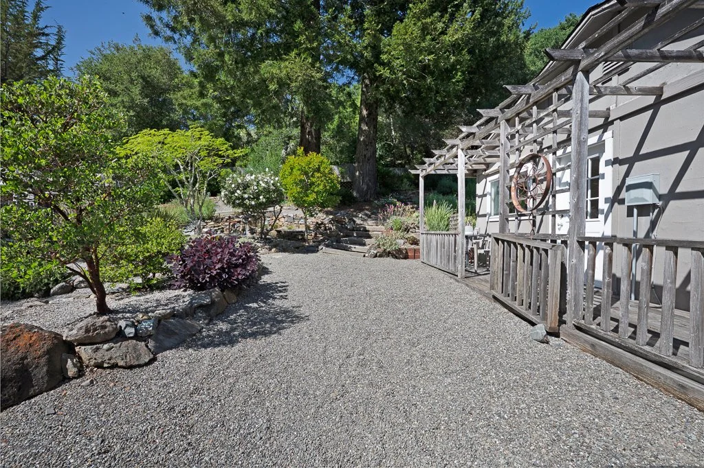 A gravel backyard garden with small bushes, trees, and a weathered wooden pergola attached to a light gray house, with bright sunshine and clear blue sky.