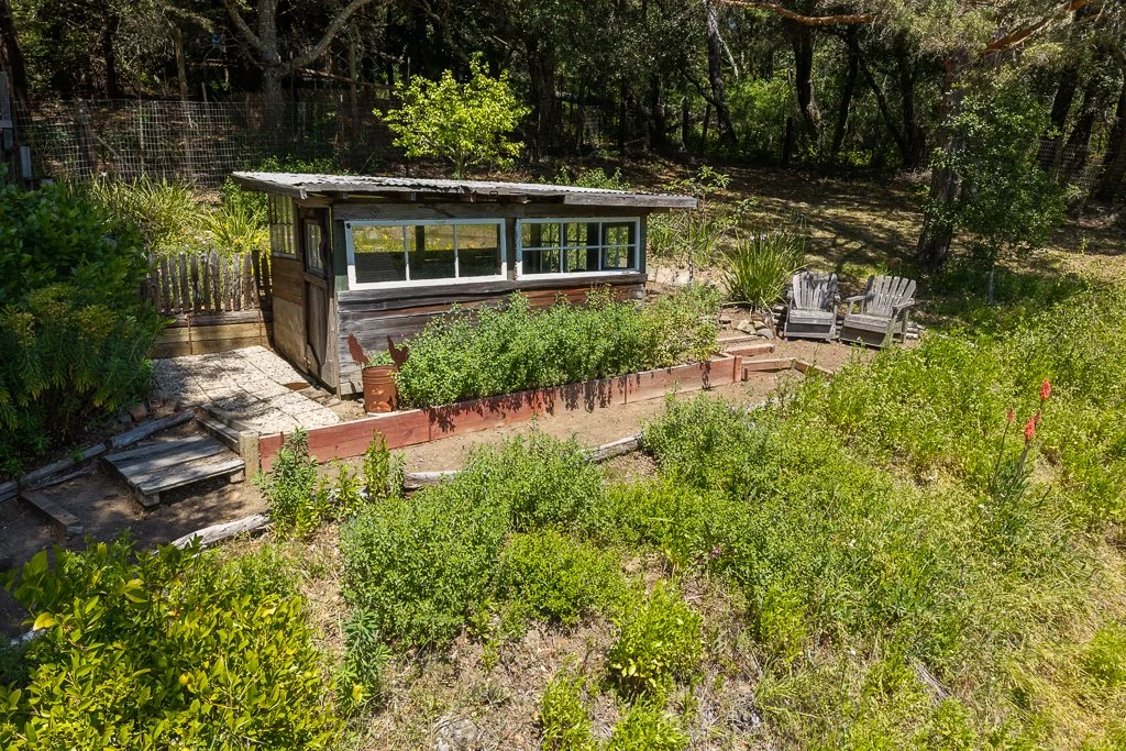 A small wooden shed with large windows in a garden surrounded by green plants and bushes, with two Adirondack chairs on a dirt area nearby, enclosed by a fence and trees.
