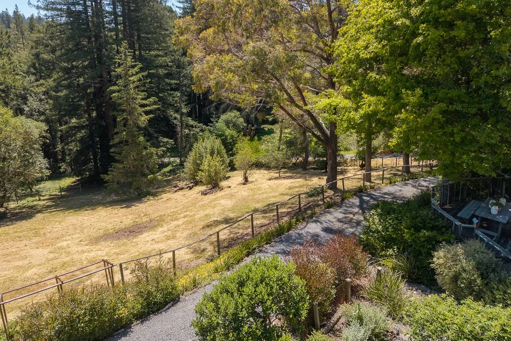 A lush green outdoor garden area with trees, shrubs, and a gravel pathway, bordered by a wooden fence, leading into a forested area.