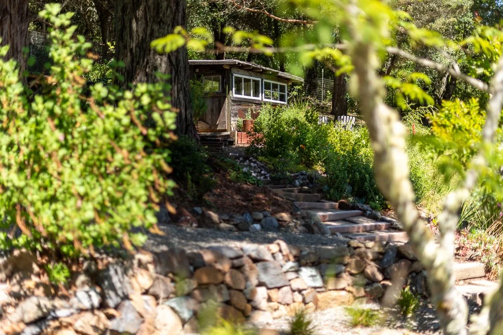 A small house in a wooded area, partially obscured by greenery, with stone steps leading up to it.