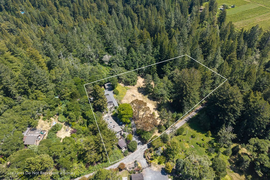 Aerial view of a forested property with a house, yard, and lot lines marked, surrounded by dense trees and greenery.
