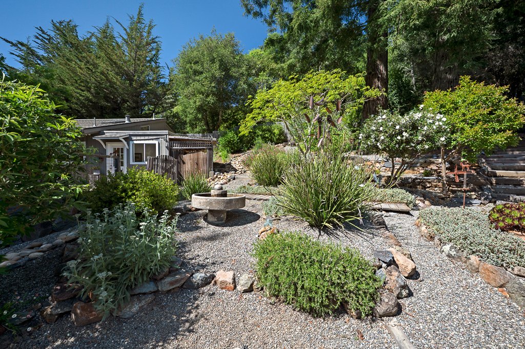 A backyard garden with various green shrubs, small trees, a stone birdbath, gravel pathways, and wooden stairs, with a house and tall trees in the background.