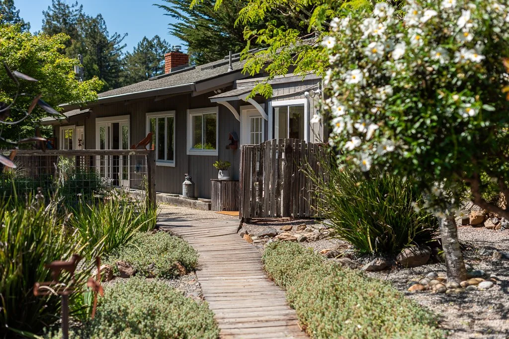 A wooden house surrounded by lush greenery and flowering plants with a wooden pathway leading to the porch.
