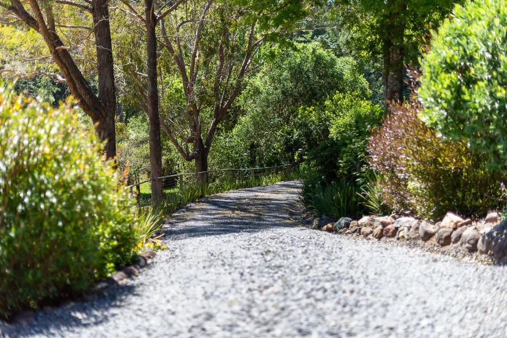 A gravel path winding through a lush green garden with trees and bushes on both sides.