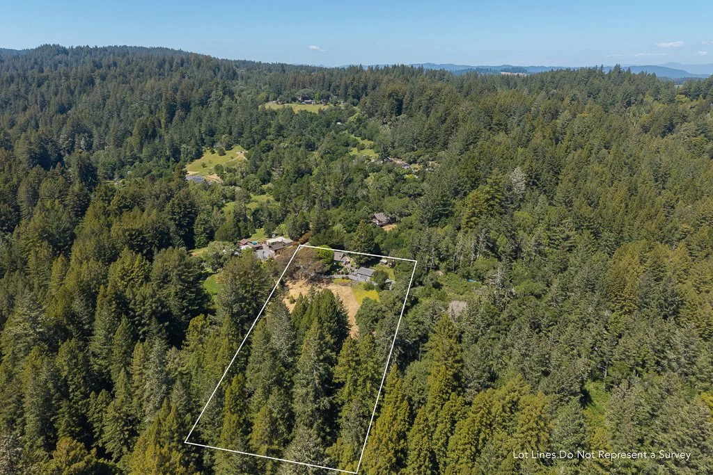 Aerial view of a wooded hillside with a rectangular lot outlined in white. Several houses are scattered among the trees in the distance, with mountains visible on the horizon.