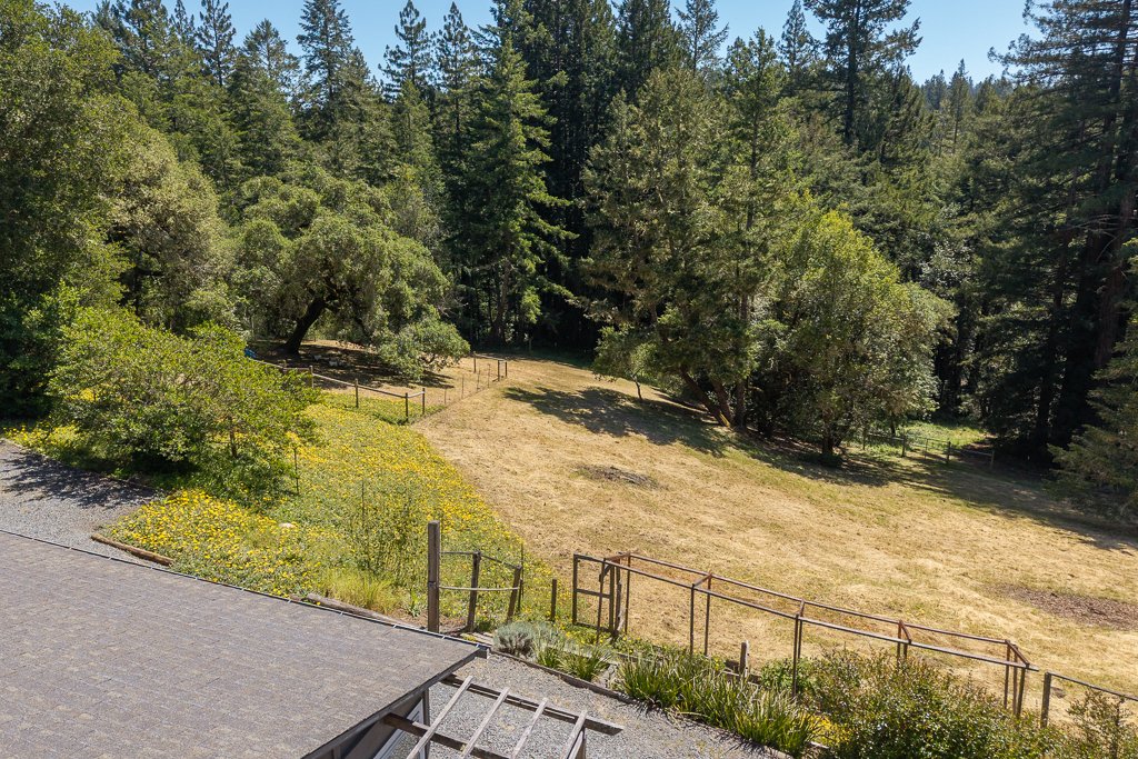 A view of a grassy area with trees and a wooden fence, with a gravel path or road in the foreground.