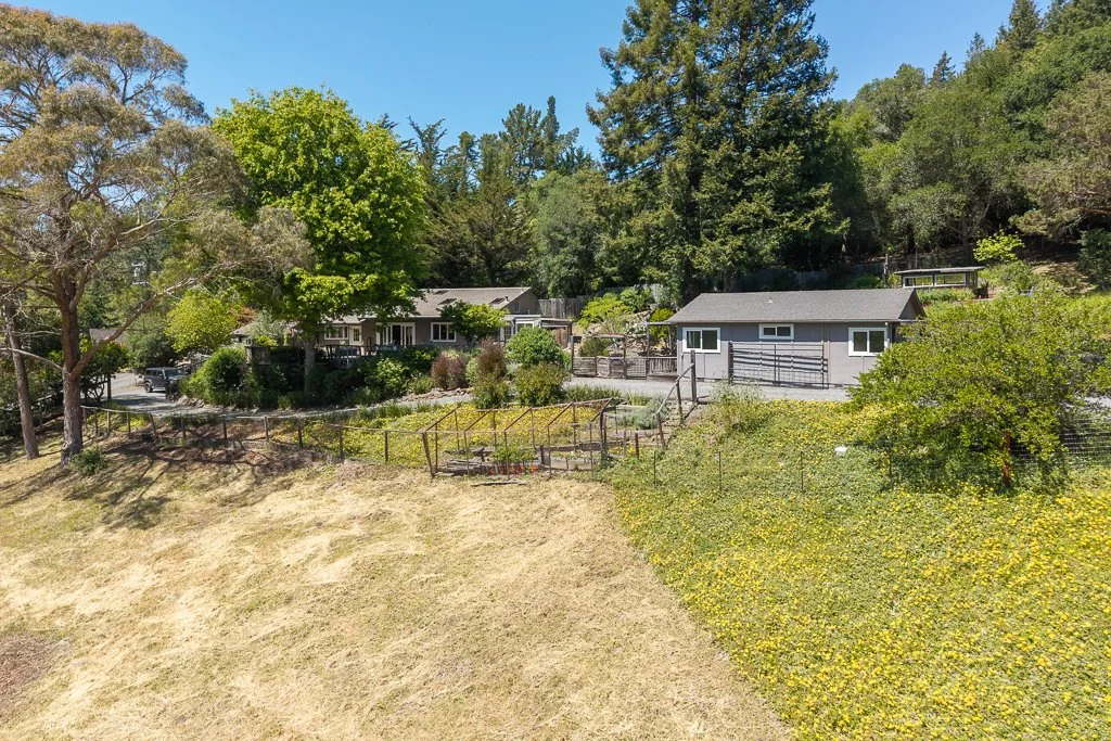 A hillside backyard with outdoor garden beds, surrounded by trees and neighboring houses in the background under a clear blue sky.