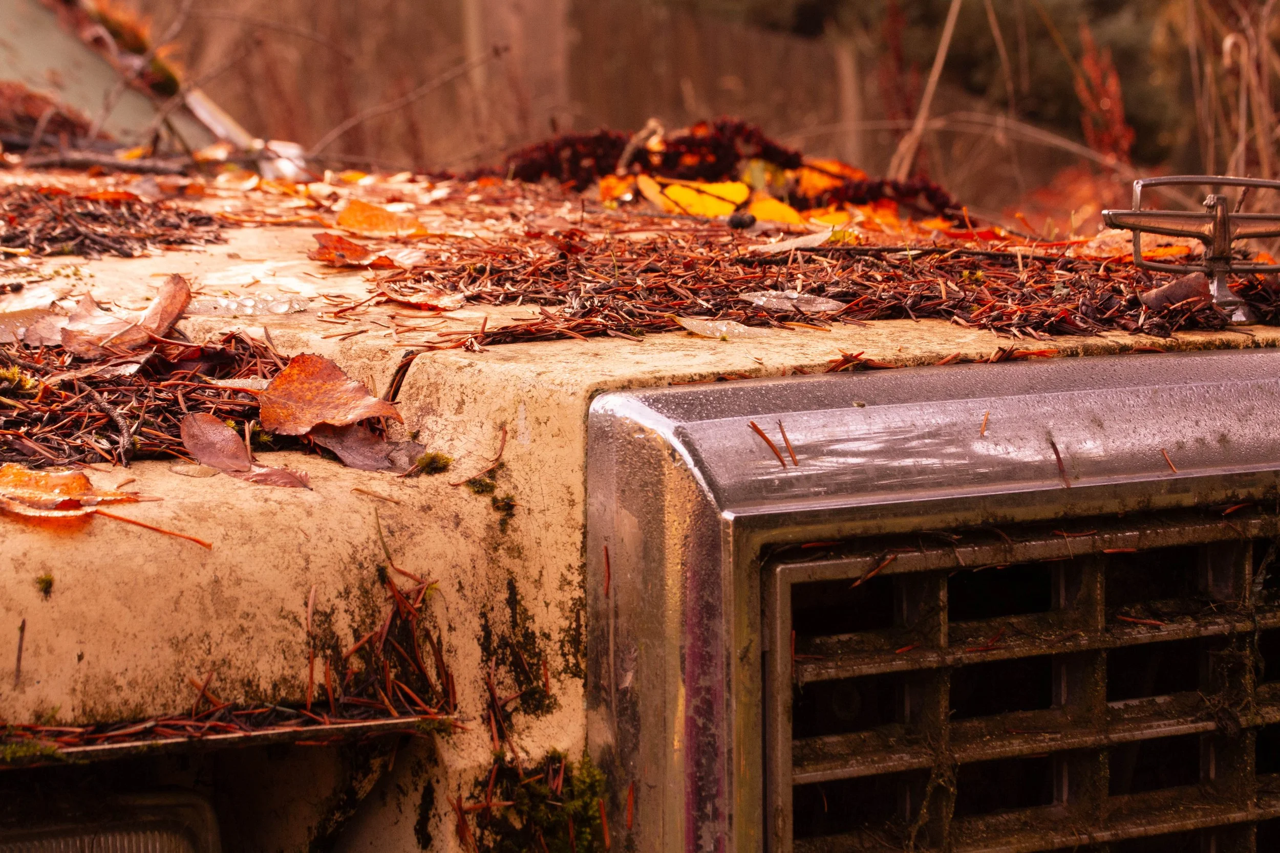 Automobiles Rest, 2025, Digital Photograph