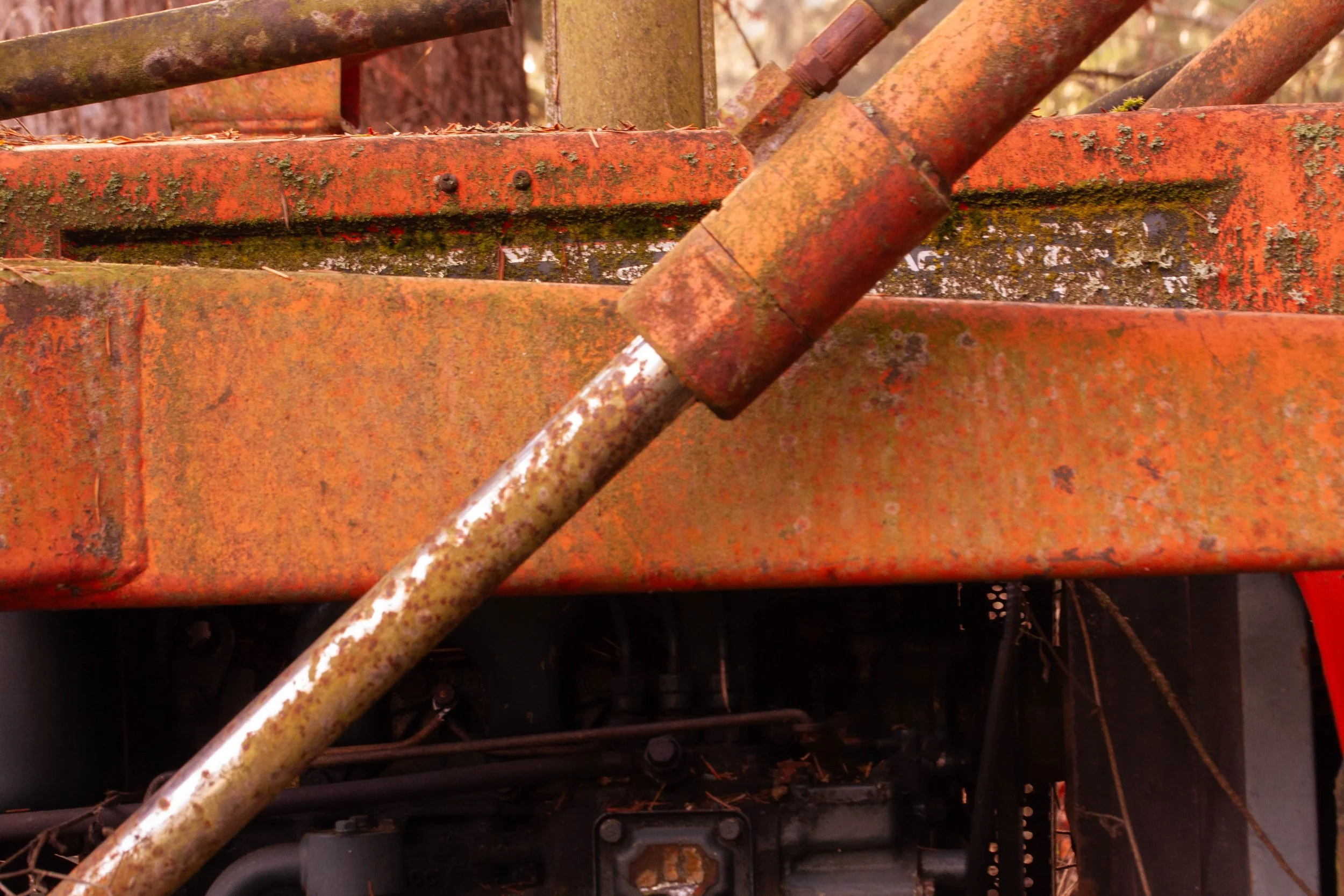 Rust and Mud, 2025, Digital Photograph