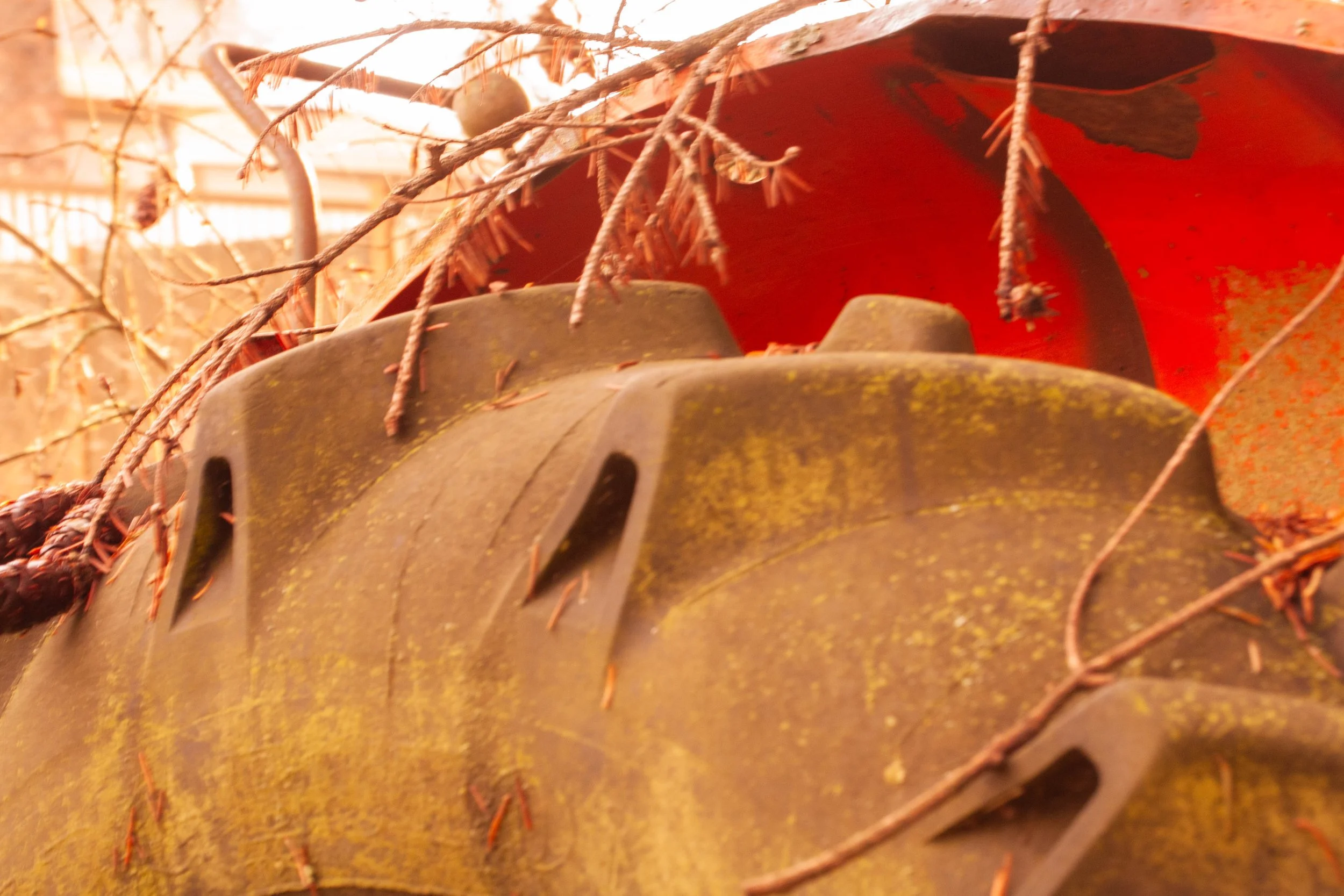 Tire of Yore, 2025, Digital Photograph