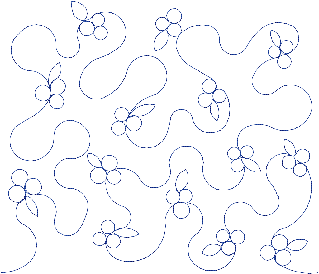 N4-Berry Meander