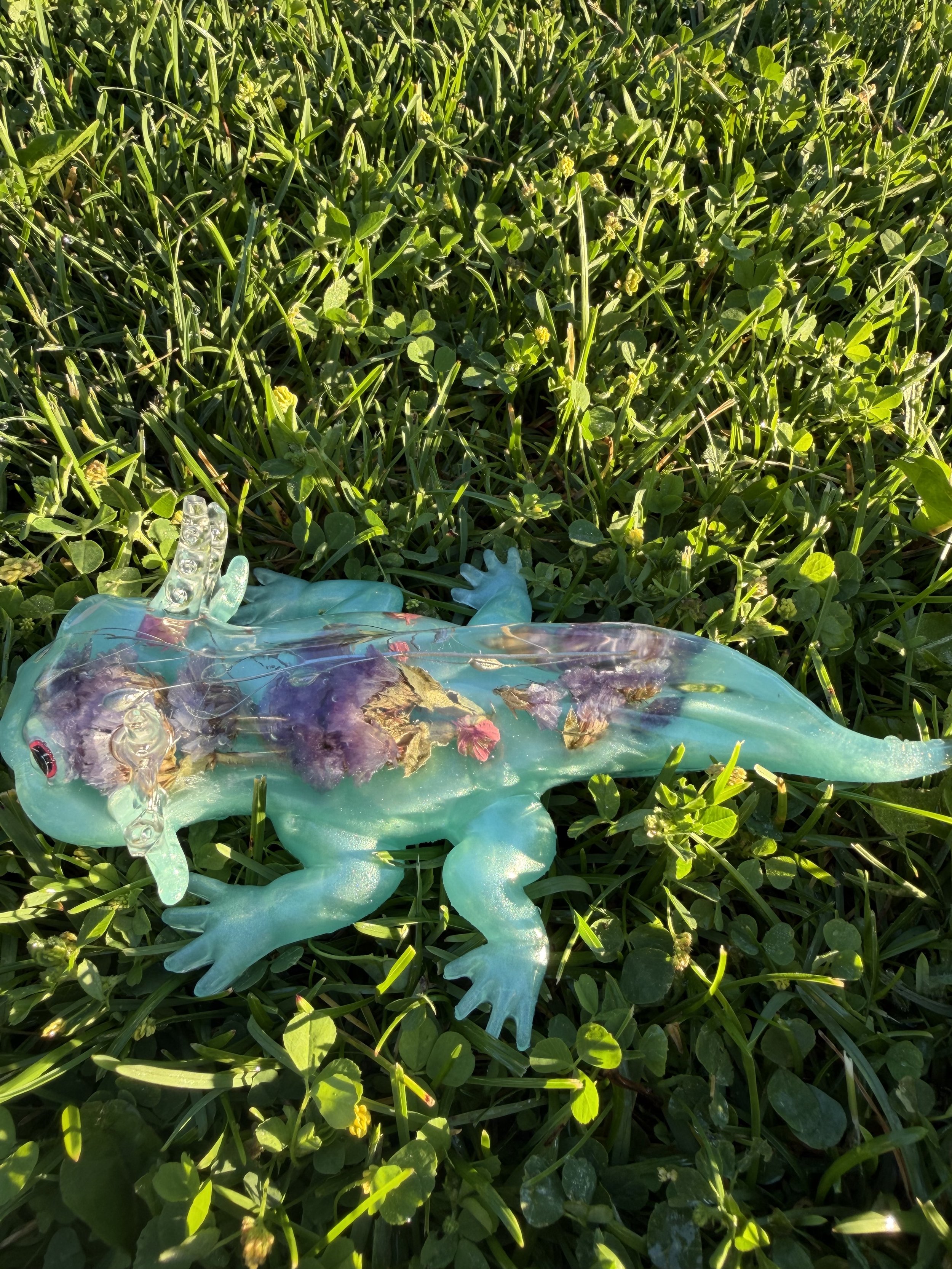 image3 (1).jpeg