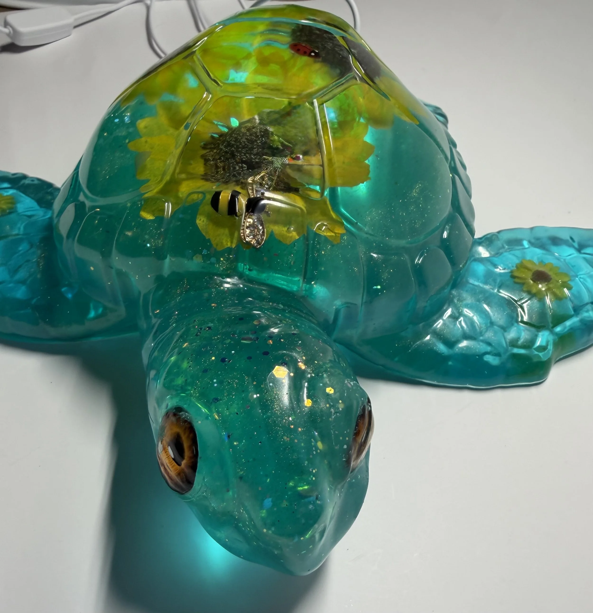 image4 (2).jpeg