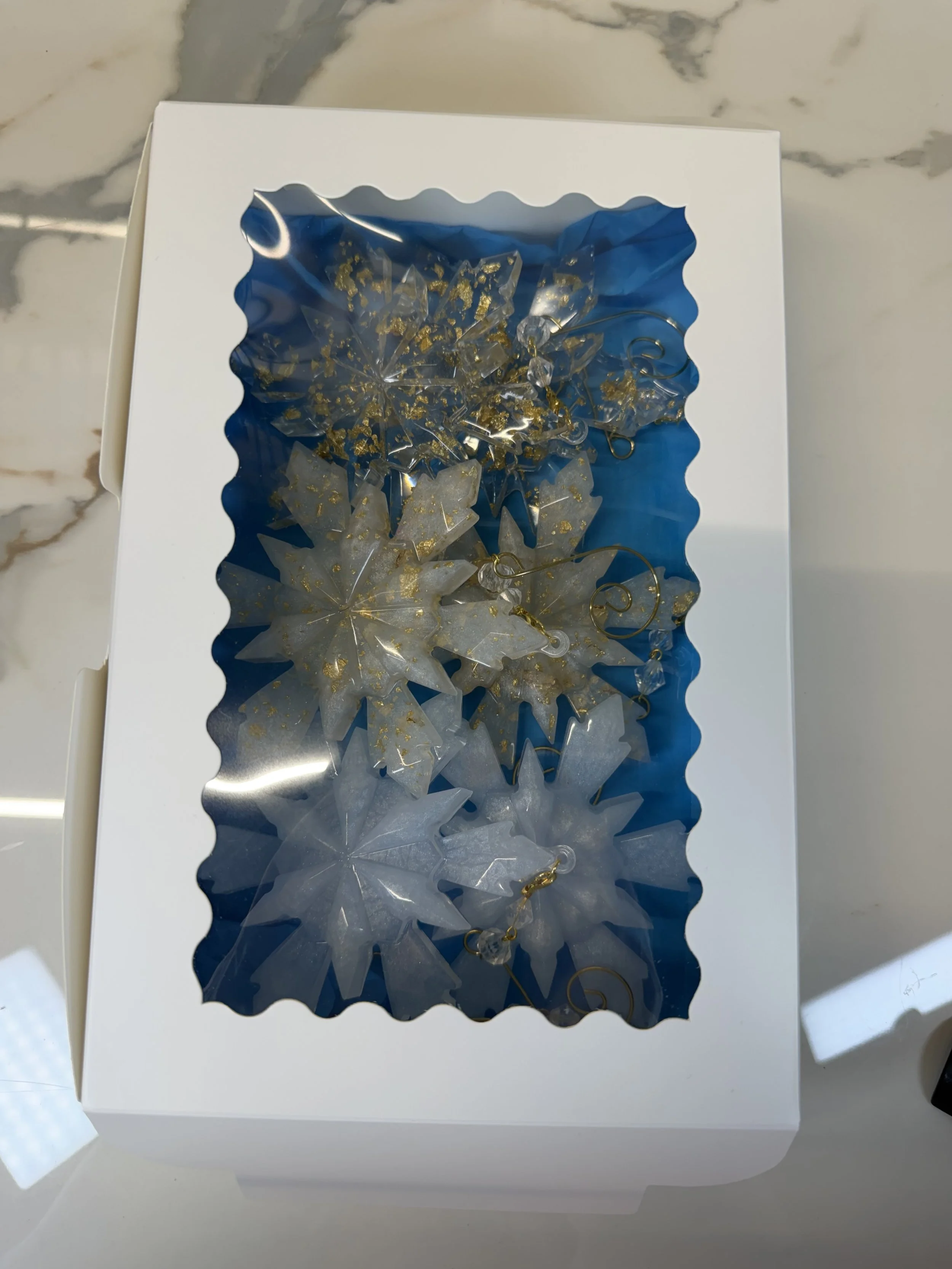 image1.jpeg
