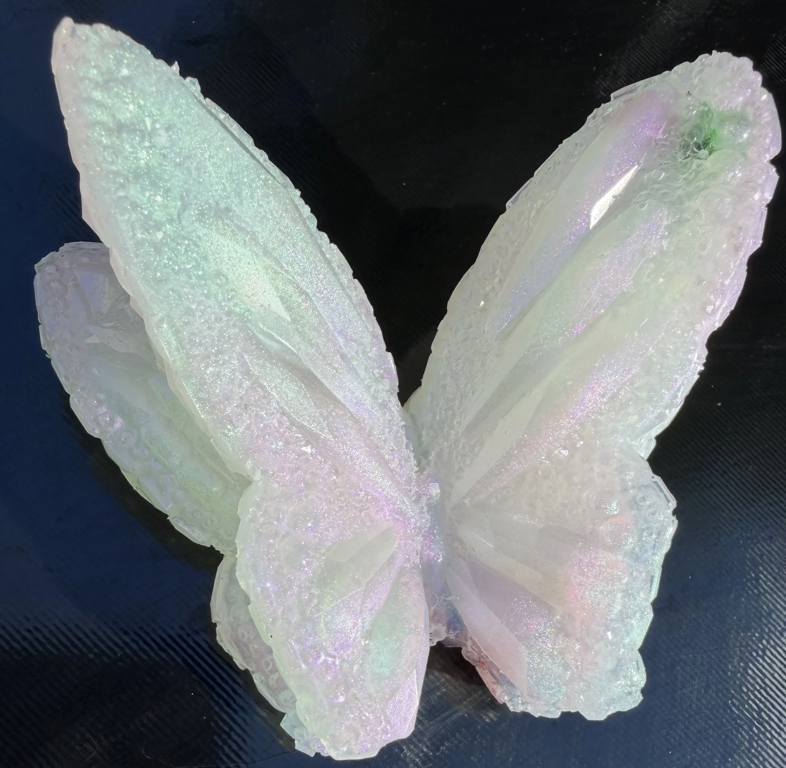 image1 (2).jpeg
