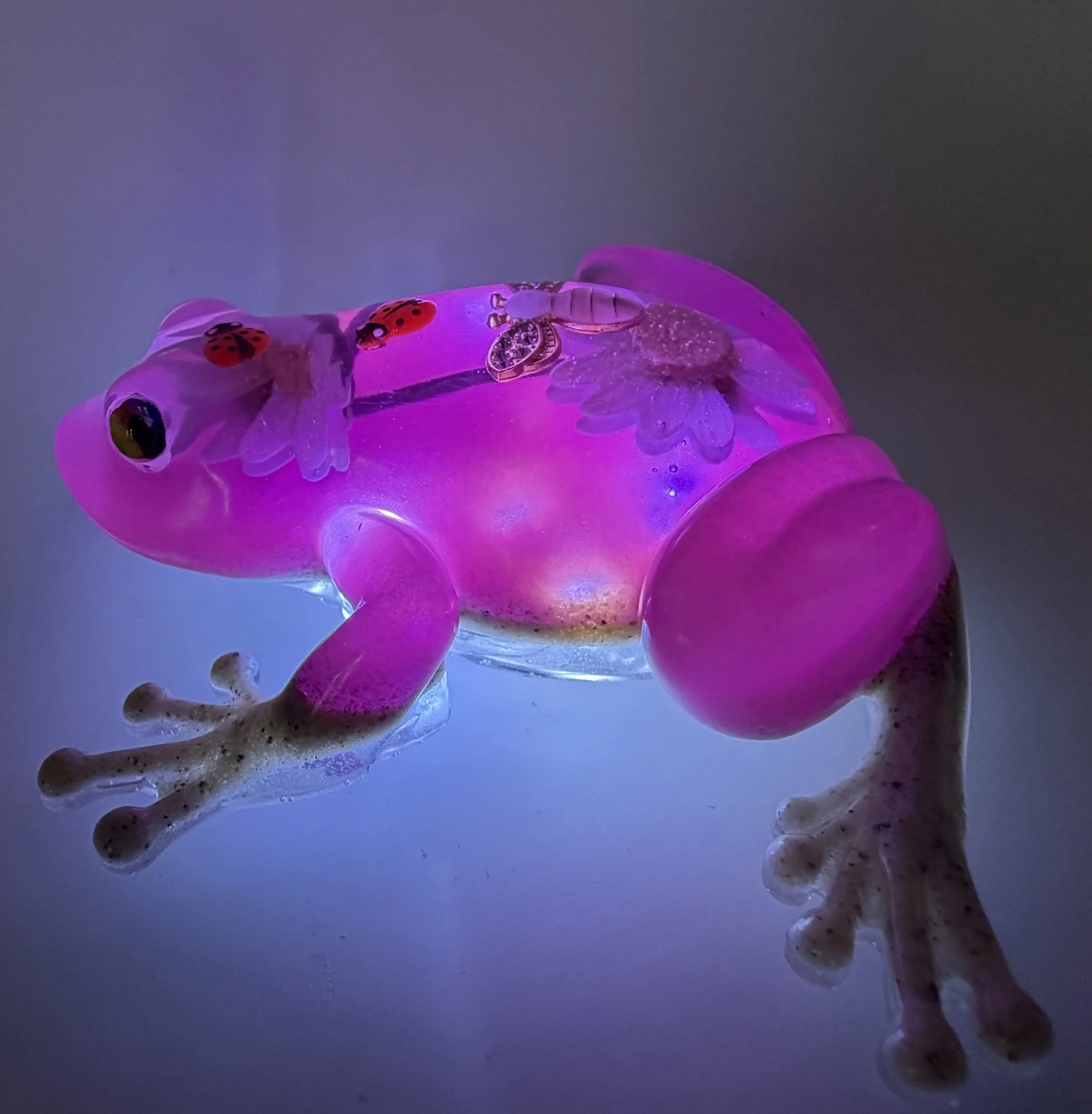 image3 (1).jpeg