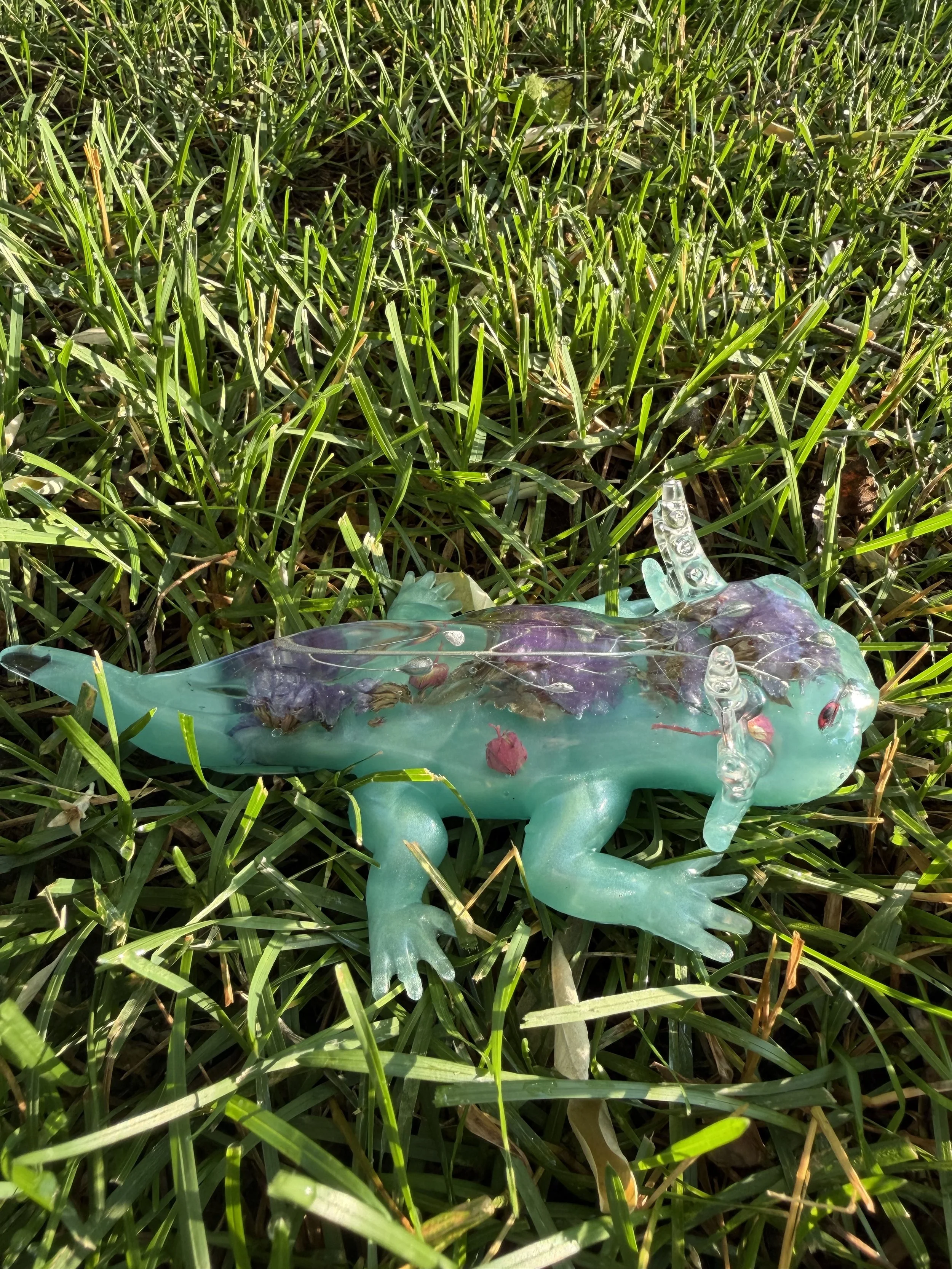 image1 (1).jpeg