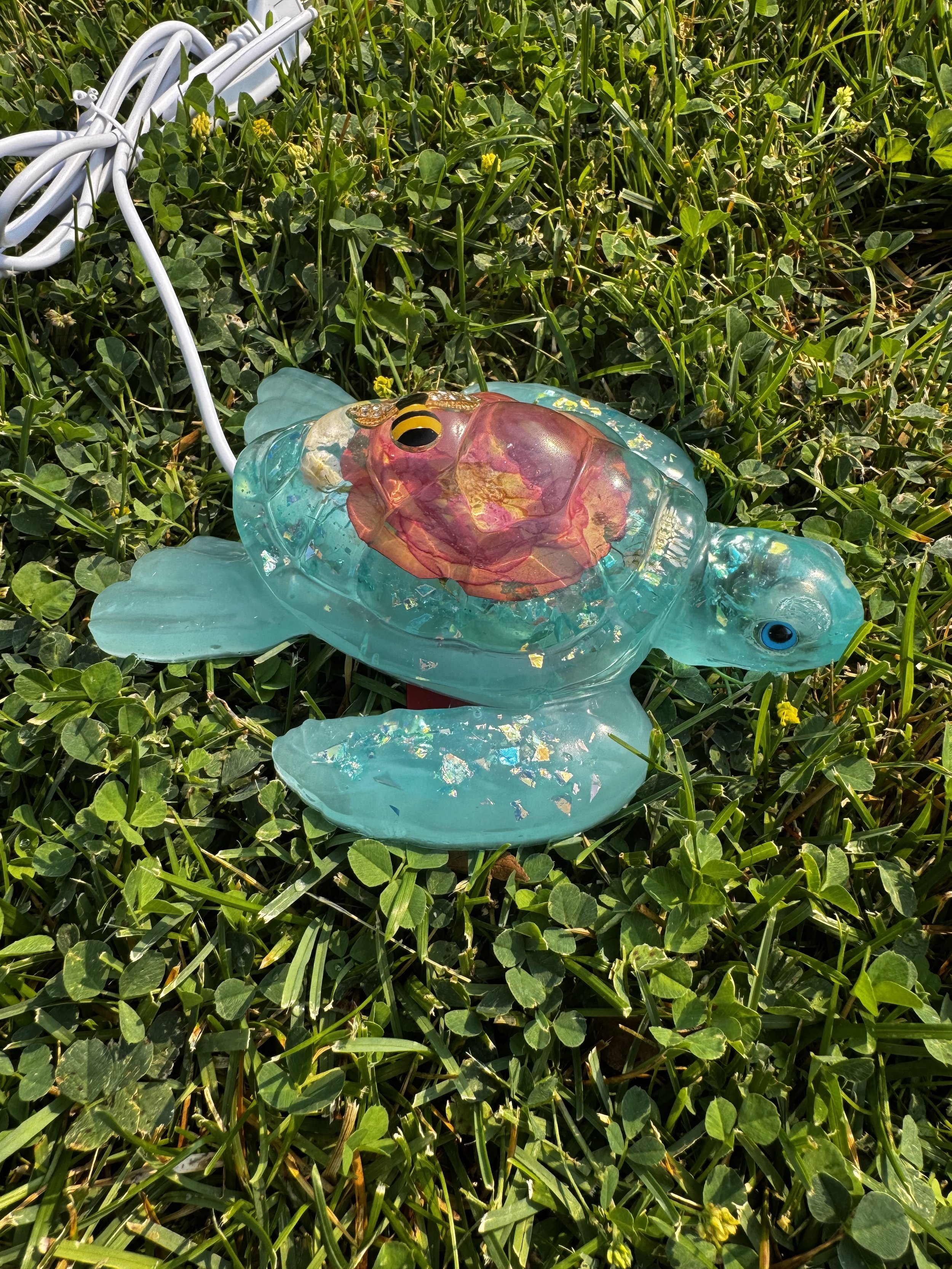 image2 (3).jpeg