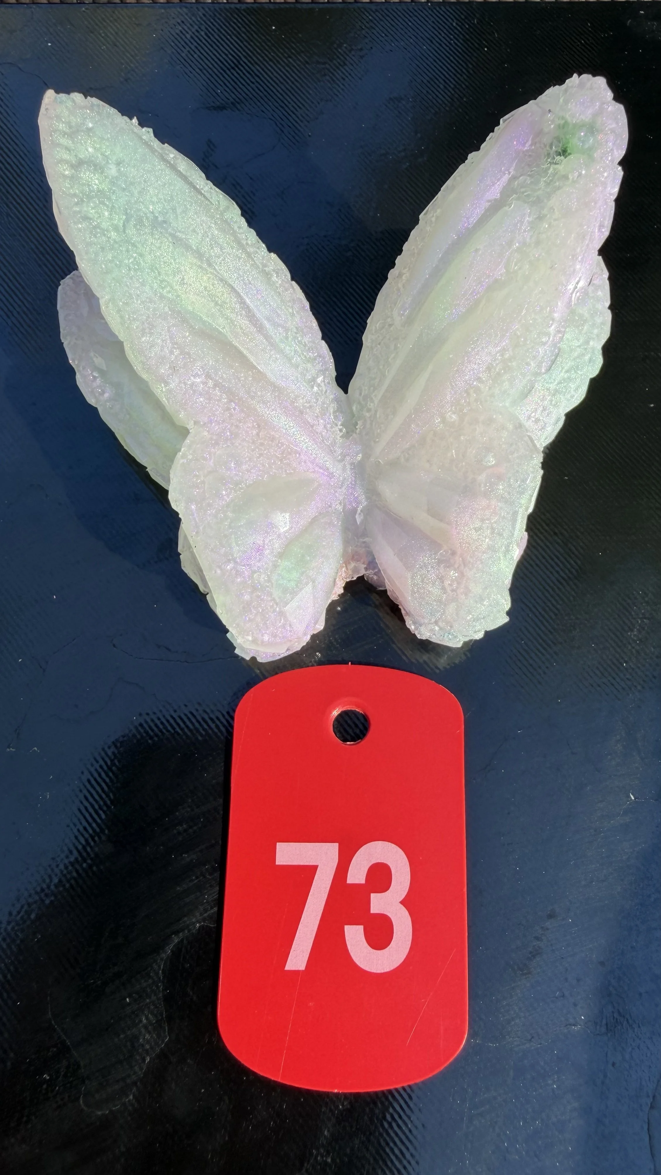 image3 (1).jpeg