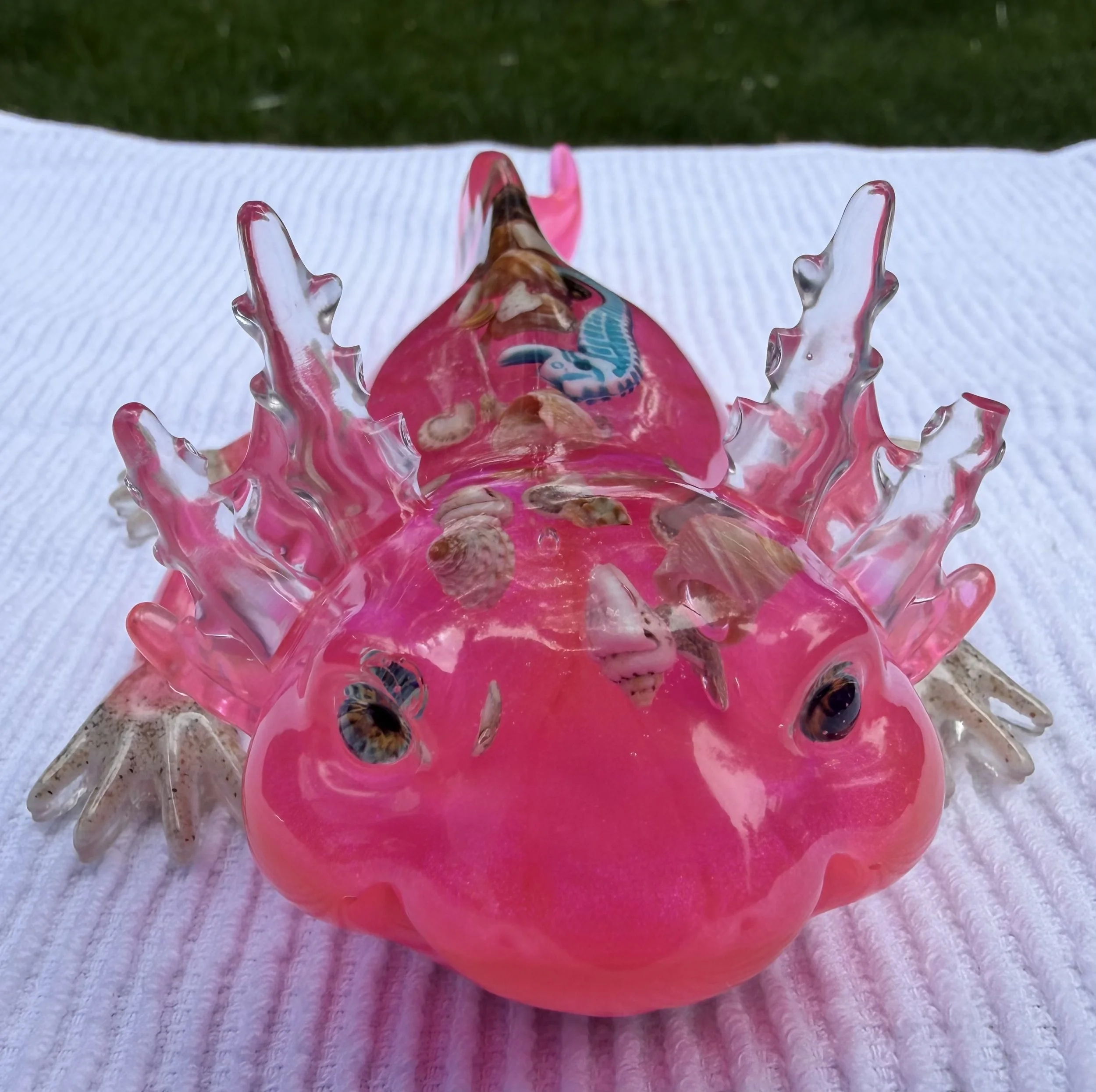 image1.jpeg