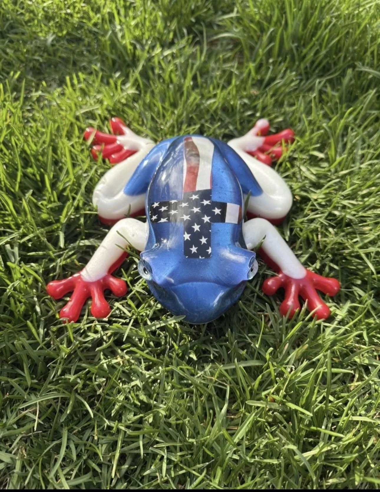 image3.jpeg